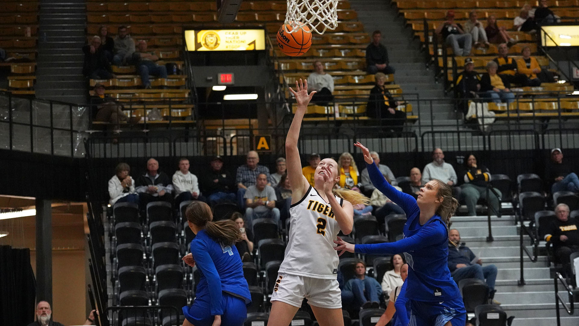 Sarah Lawless action