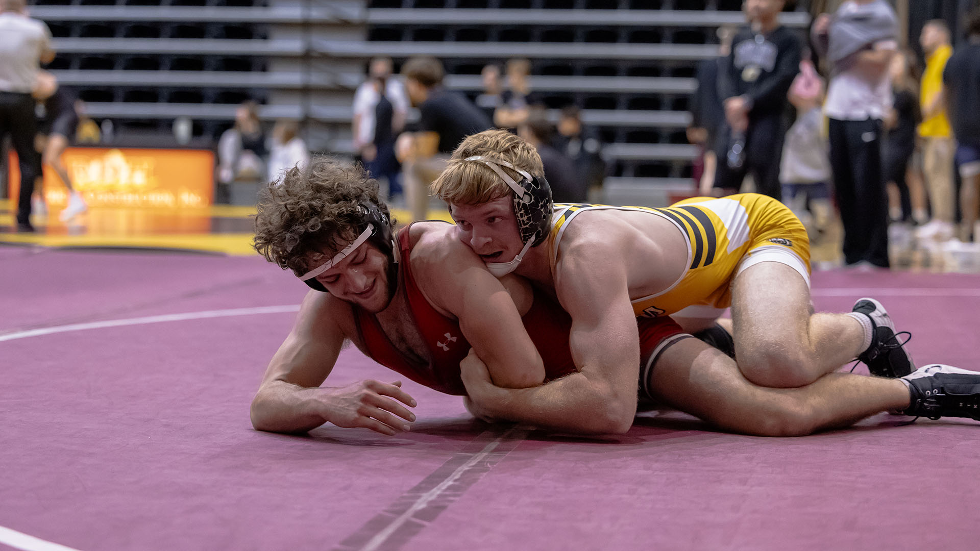 Houston Frank action