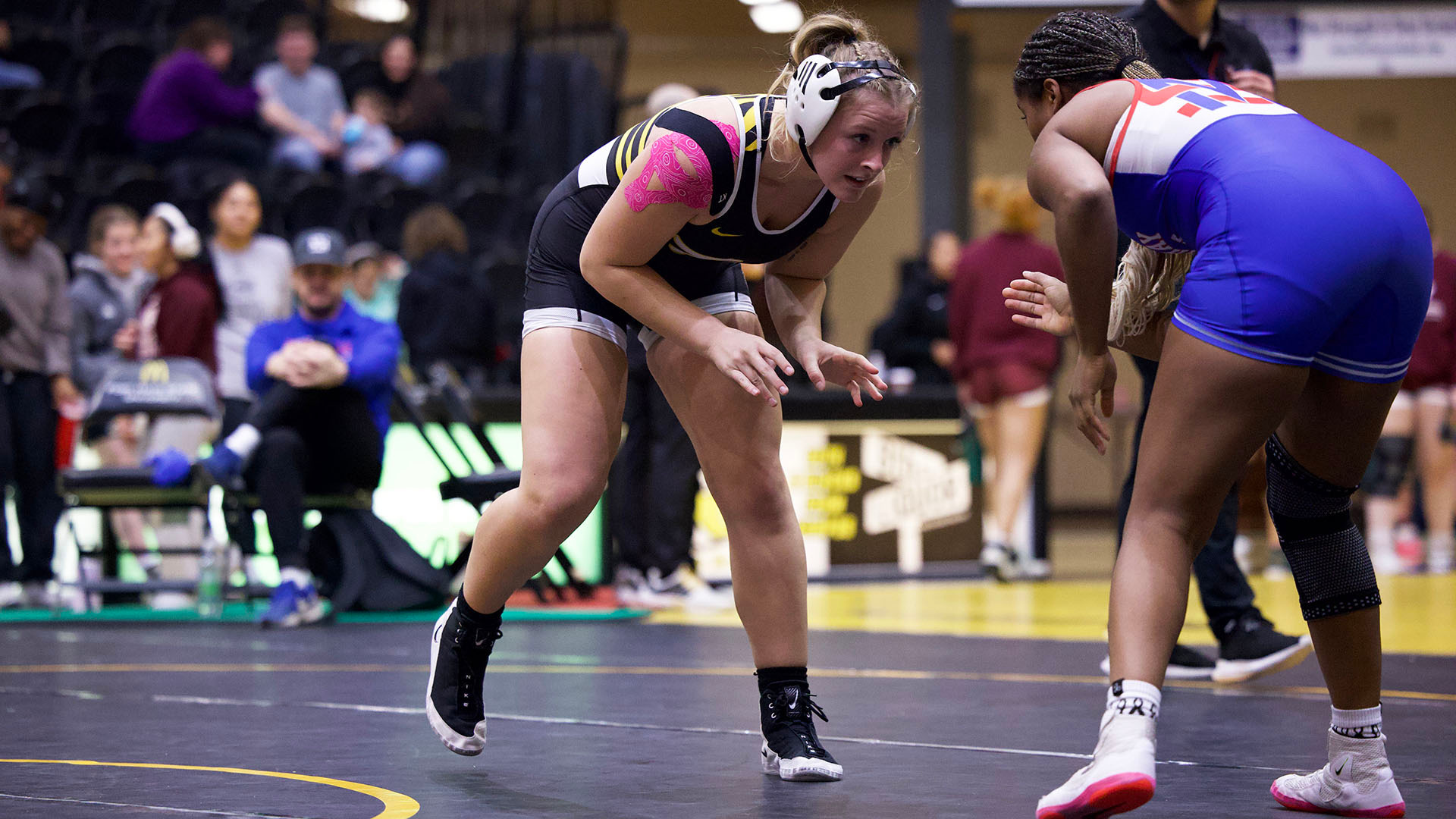 Marissa Porsch action