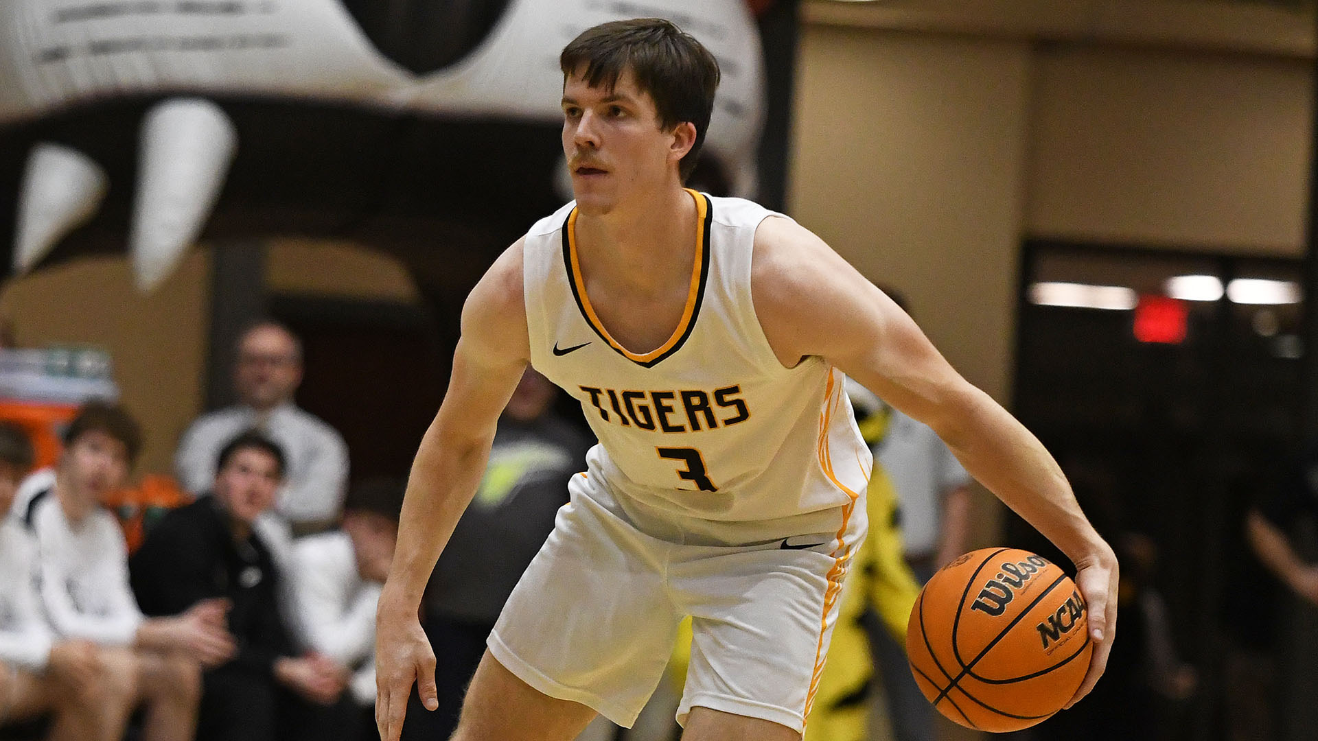 Lucas Hammeke action