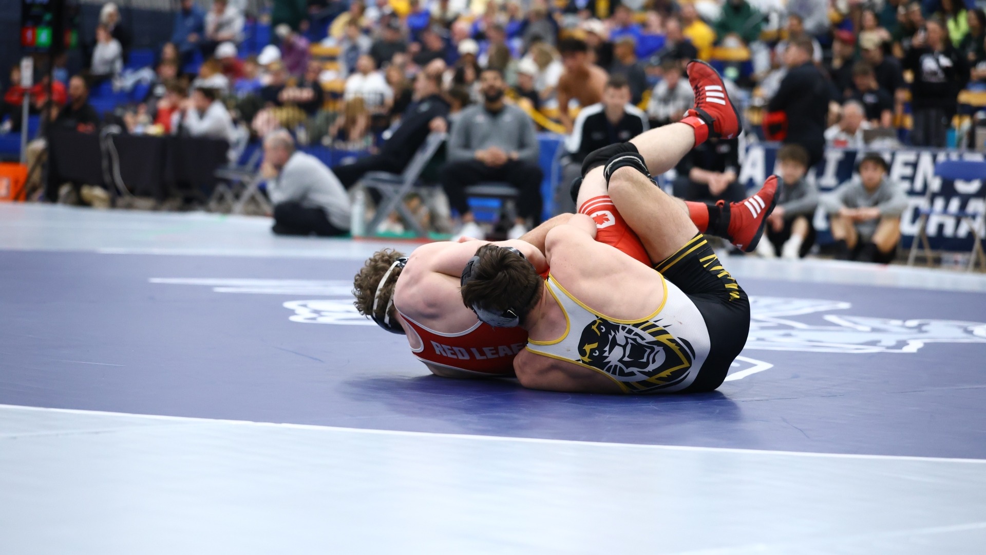 Cason Lindsey Regional 2026