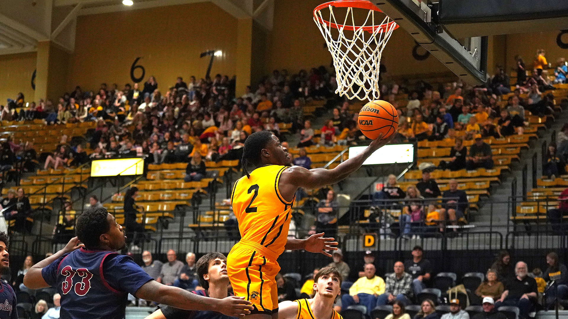 Muhamed Kante action          