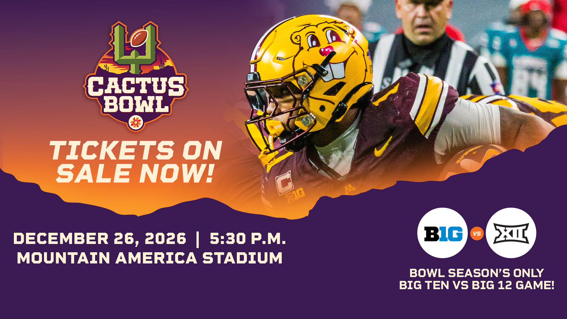 Cactus Bowl On Sale
