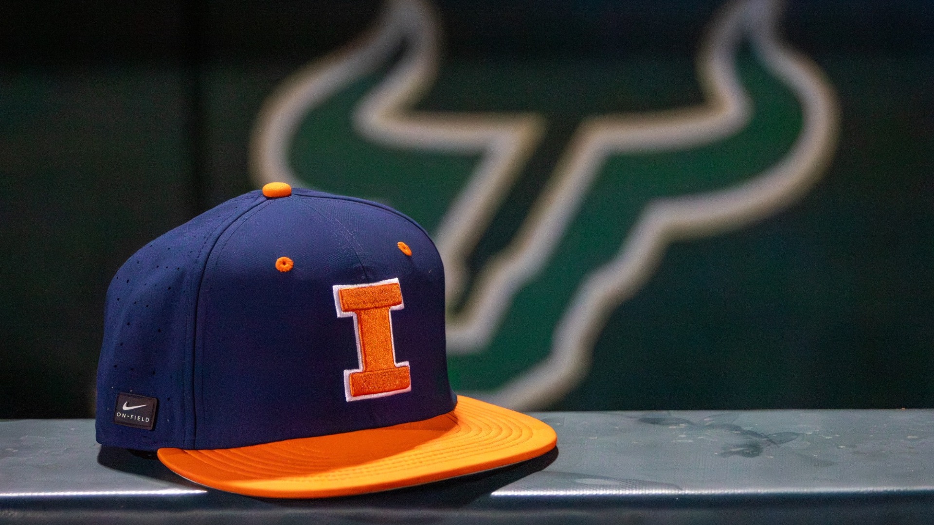 Illinois BASE at USF