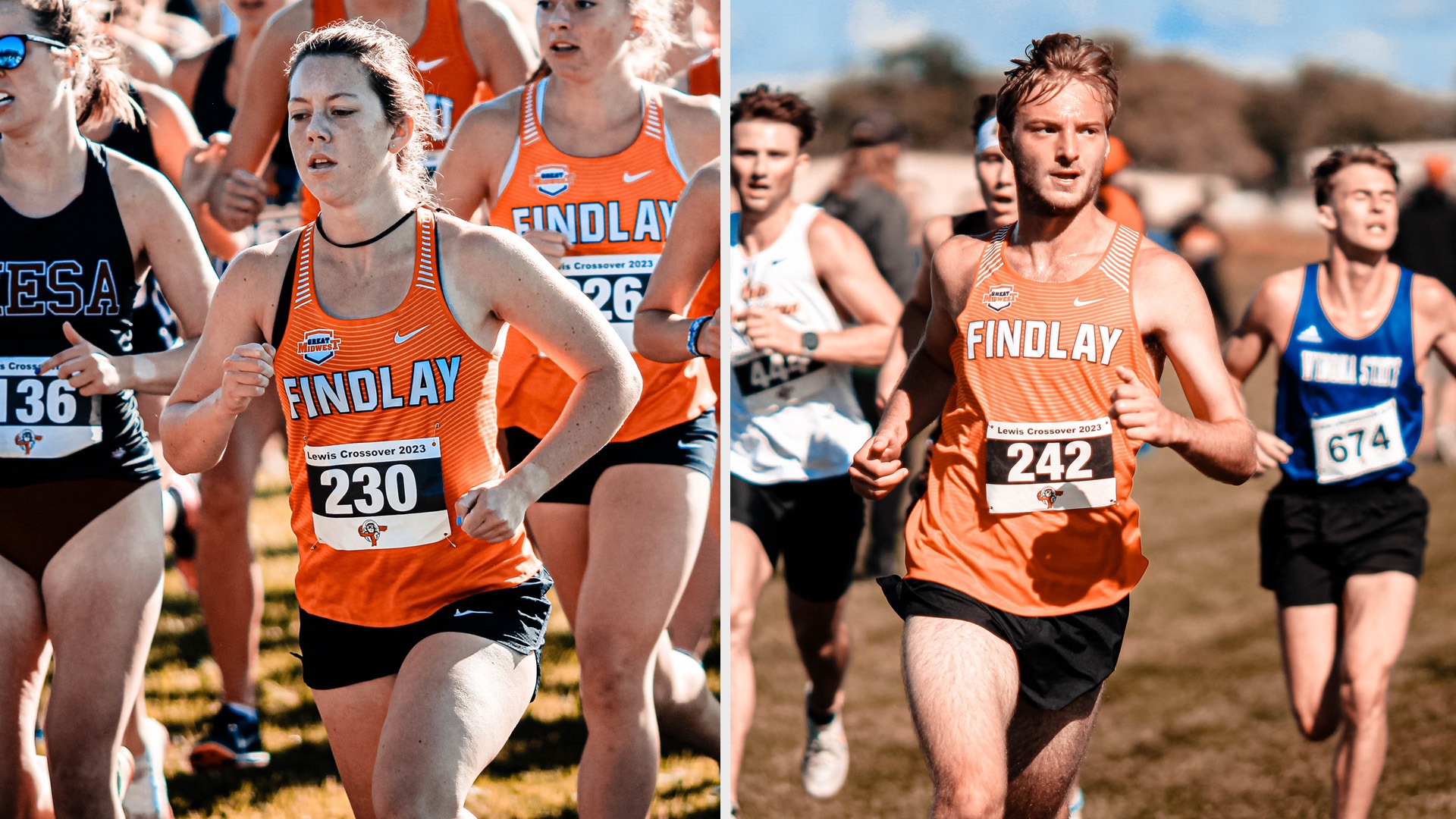 Cross Country Battles Large Field at Lewis Crossover University of