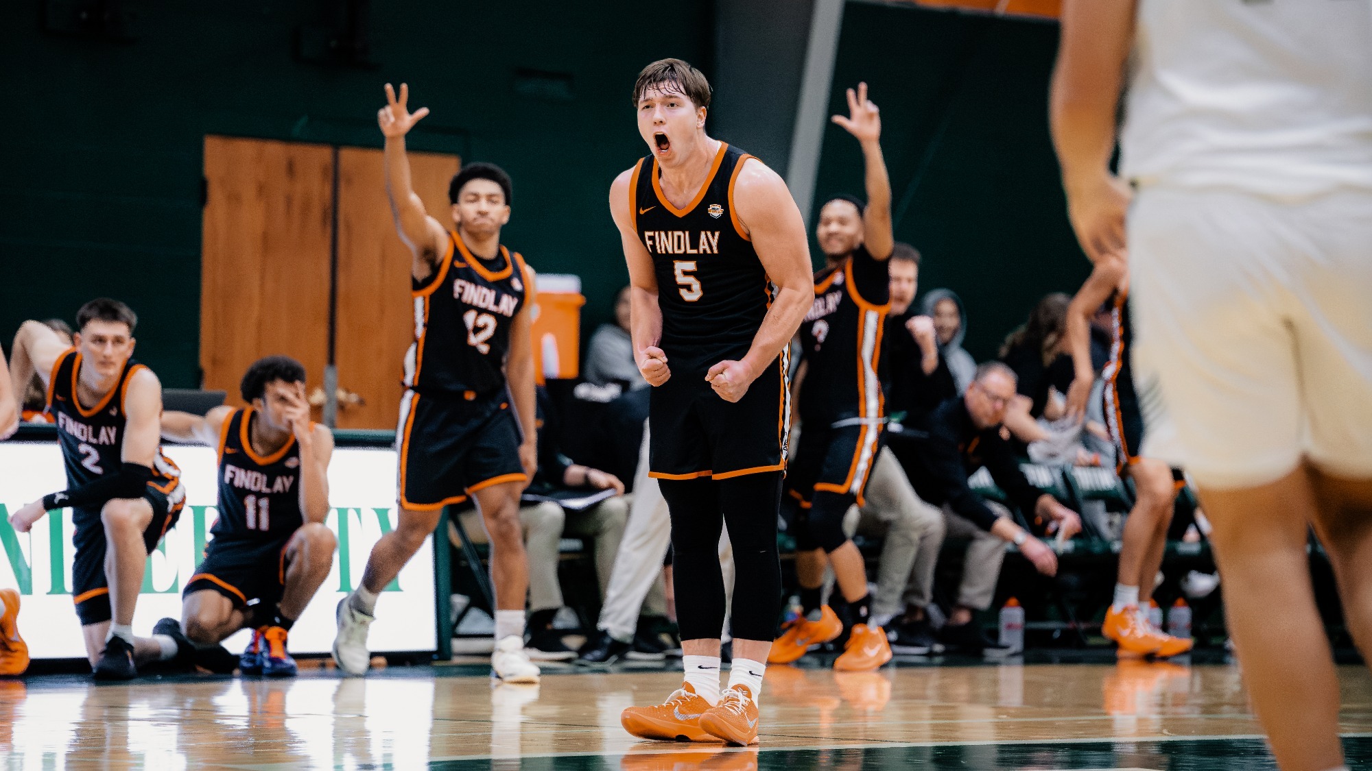 Steele Meister Scream Tiffin