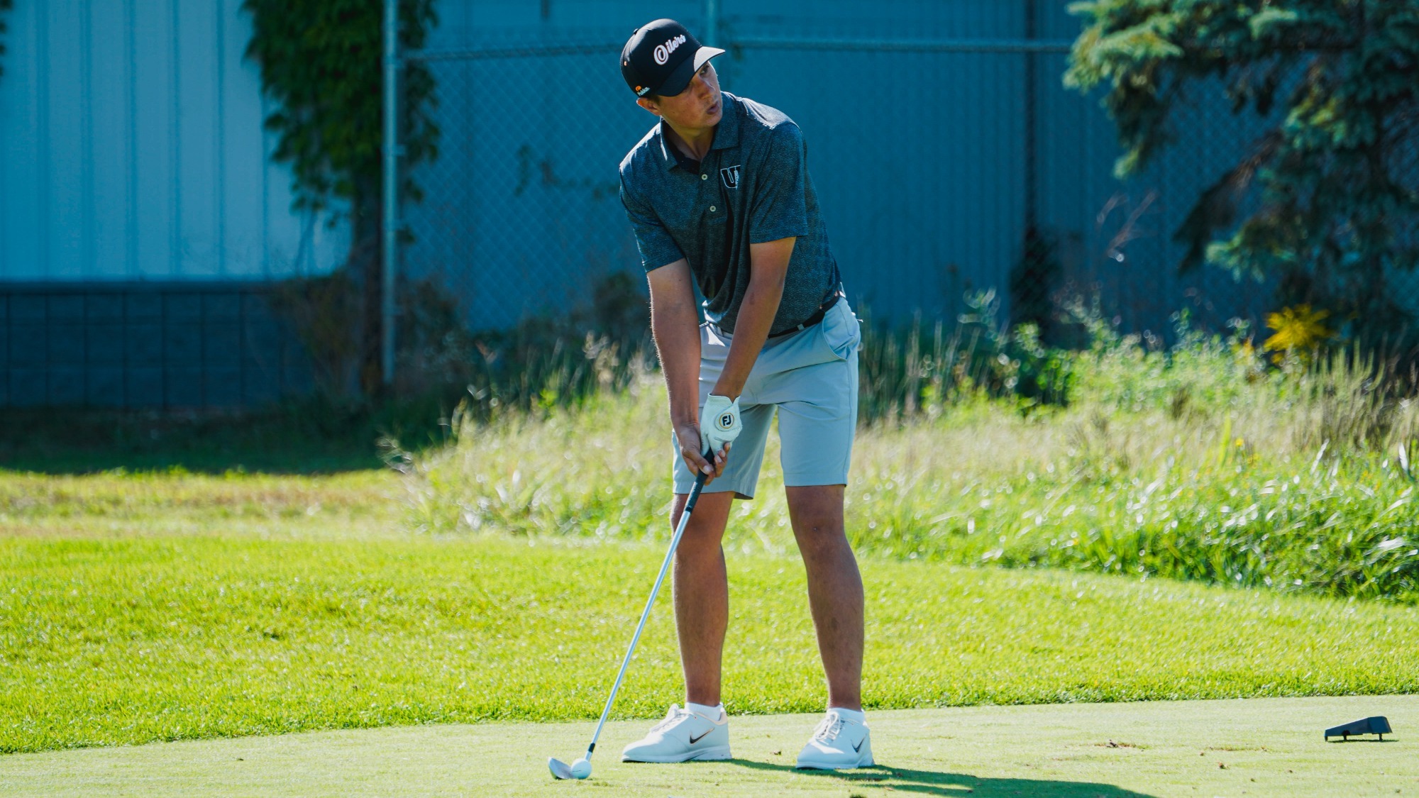 Roth AOTW