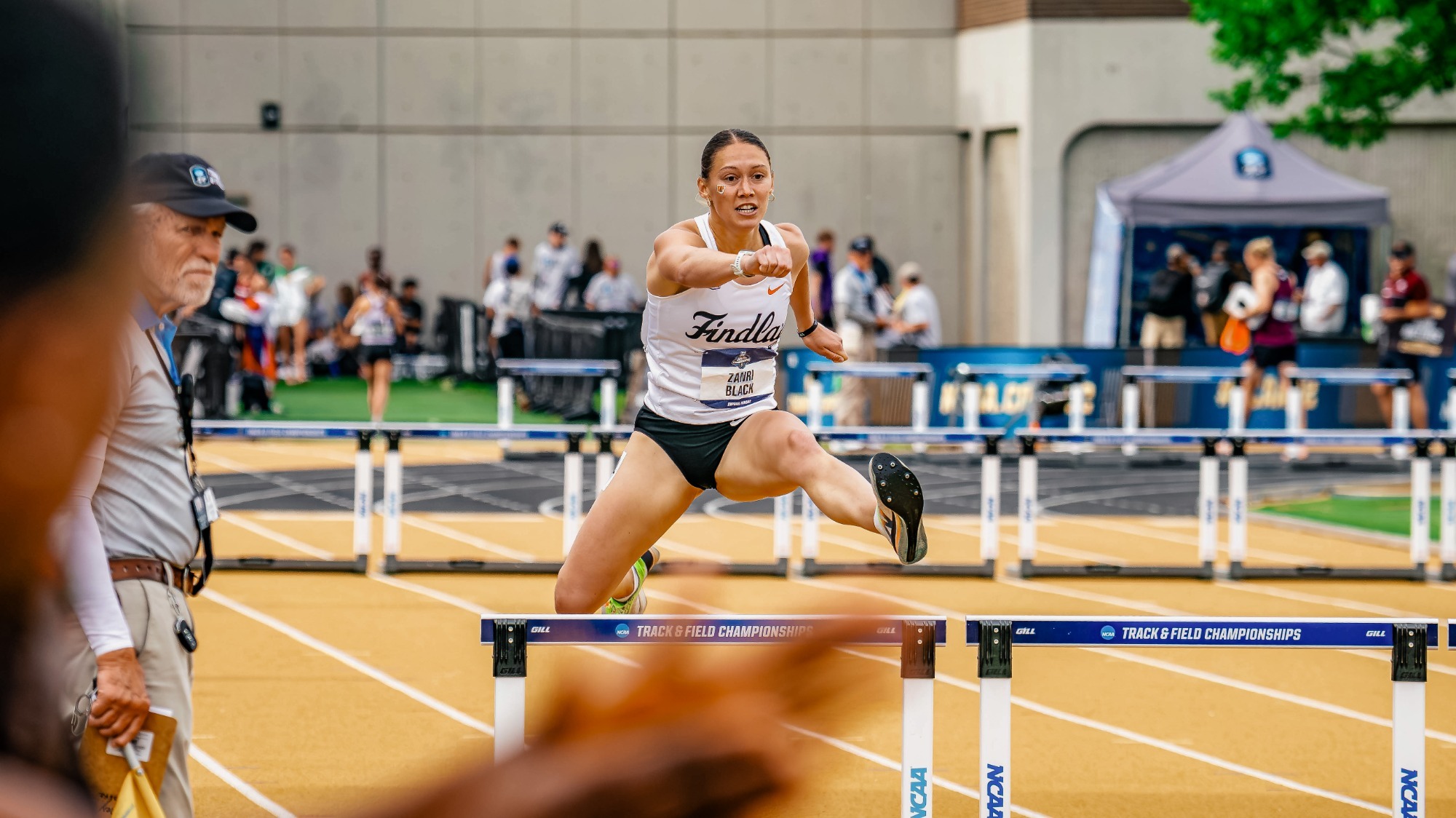 Zanri Black Hurdles 5/23/26