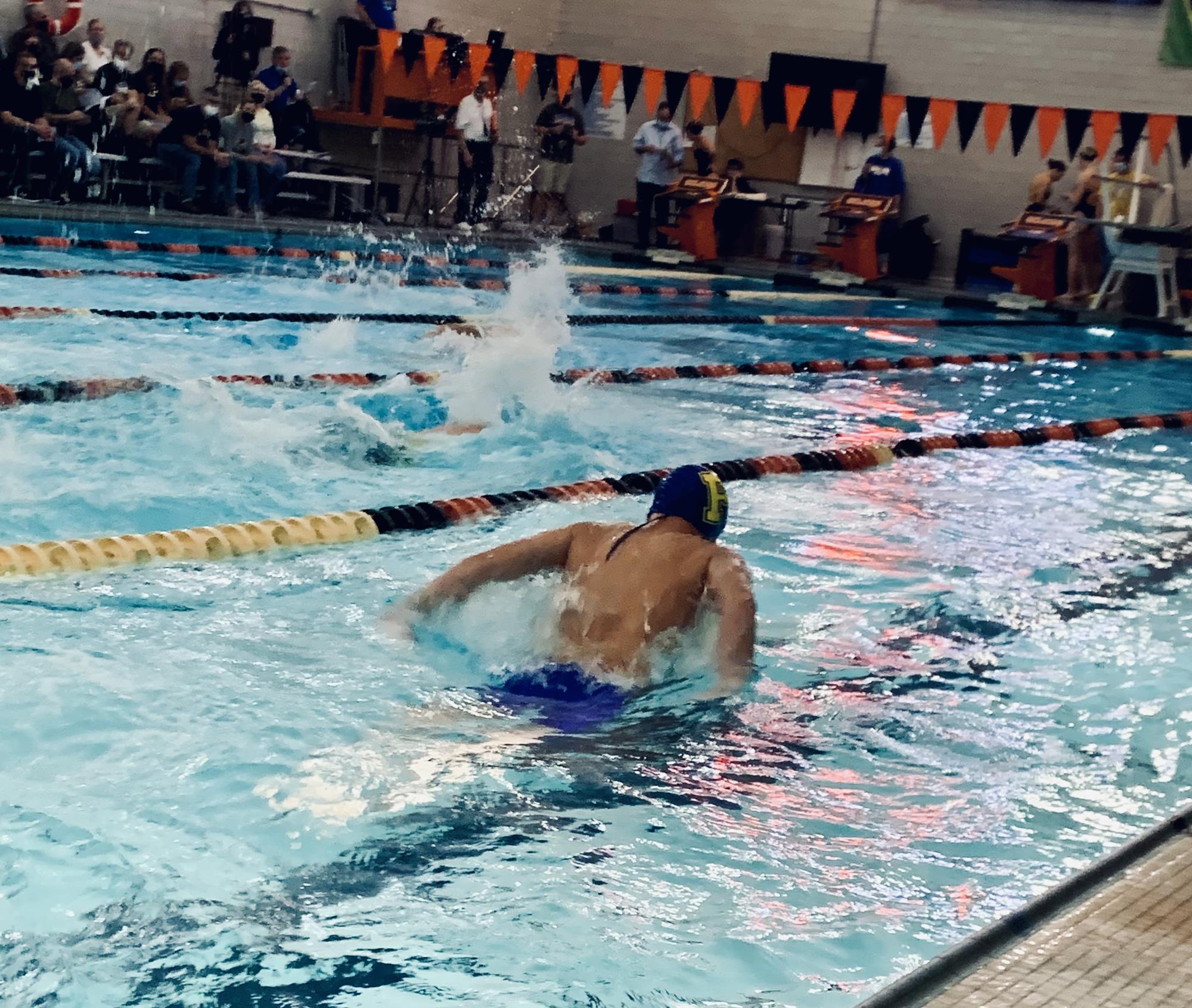 Swim-Dive. Vs. Perrysburg