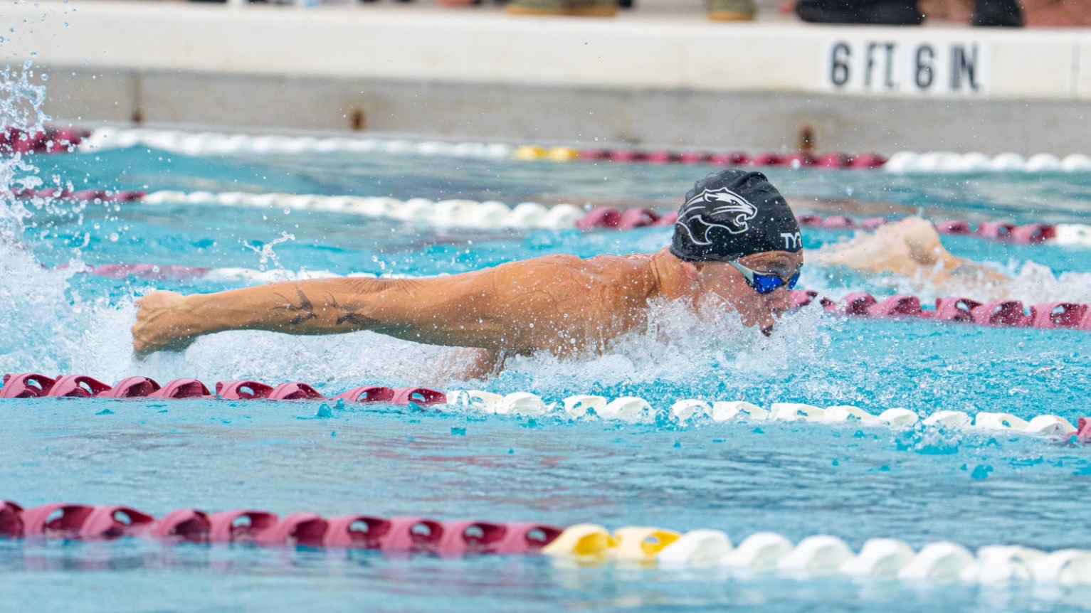 Akos Hajagos vs. Tampa