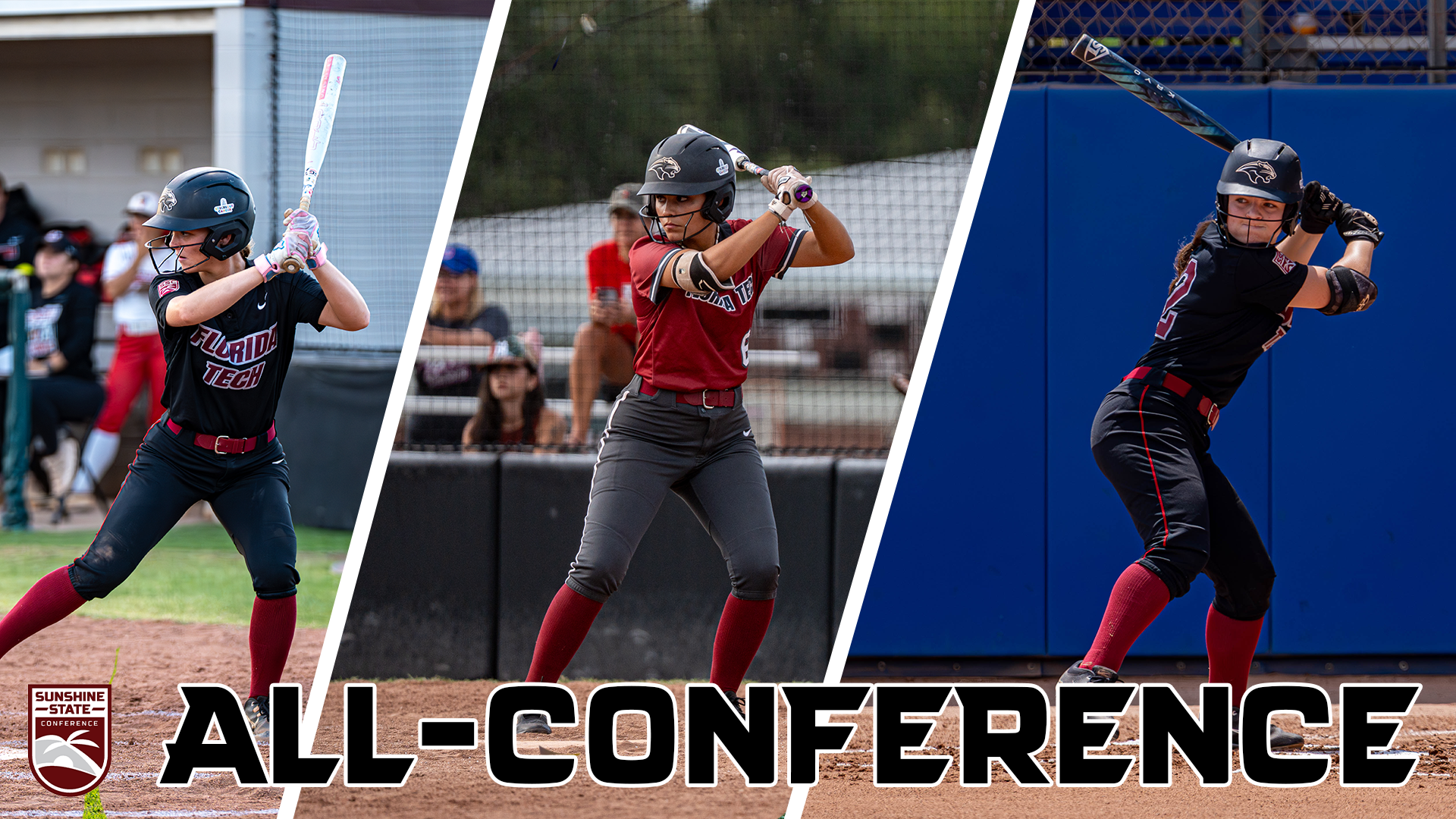 Softball All-SSC Image