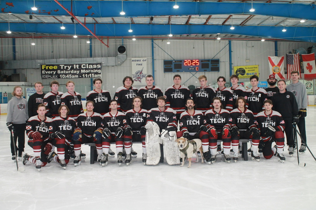 Hockey Game Action 1