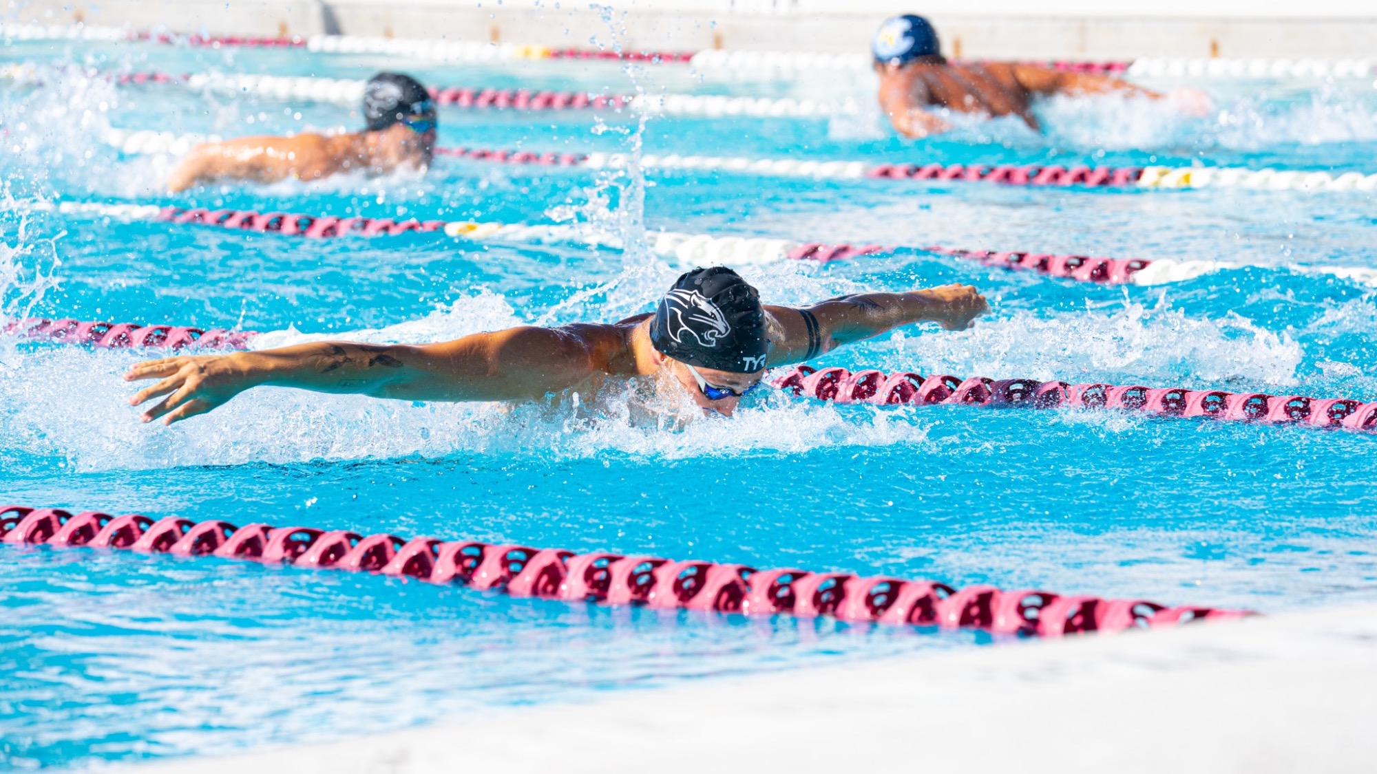 Akos Hajagos vs. Lynn