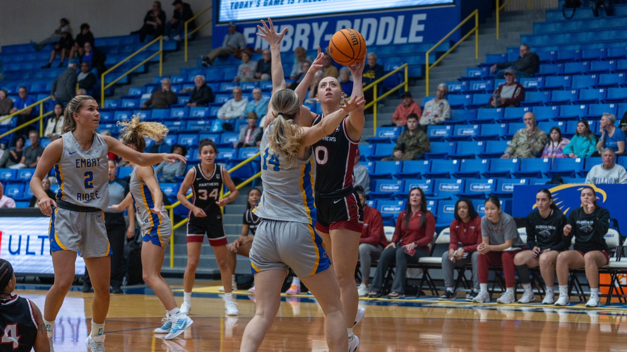 Medico Career-High Points