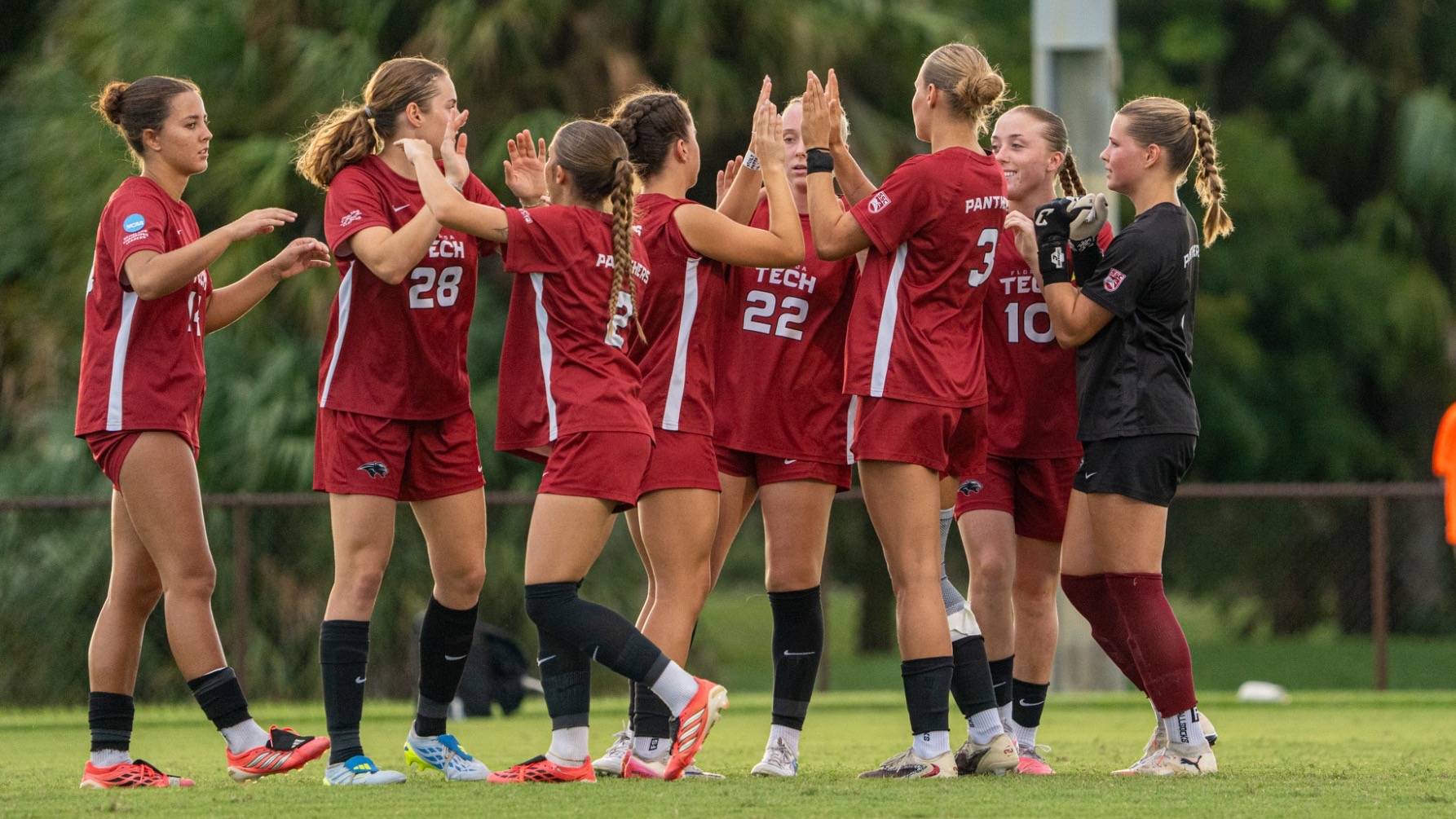 WSOC vs PBA