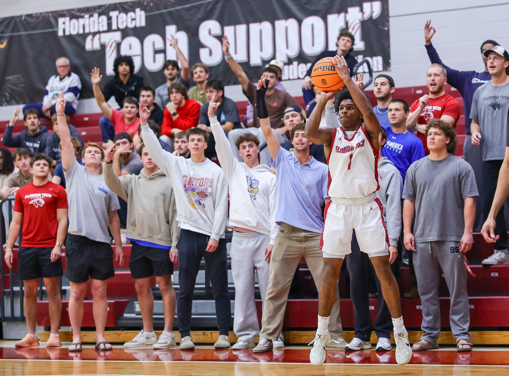 Williams Three vs Rollins