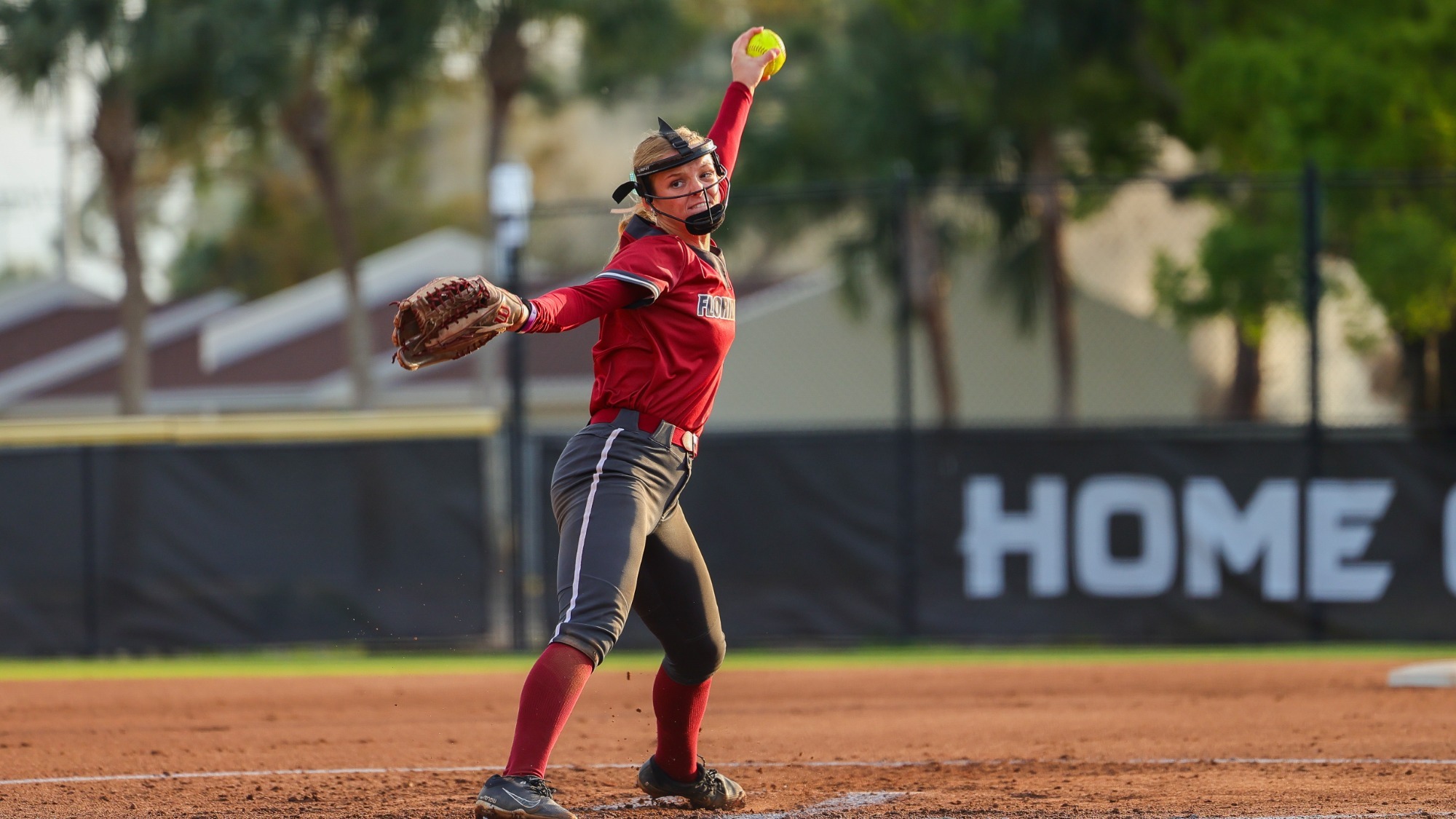 Fariello Pitching versus Molloy