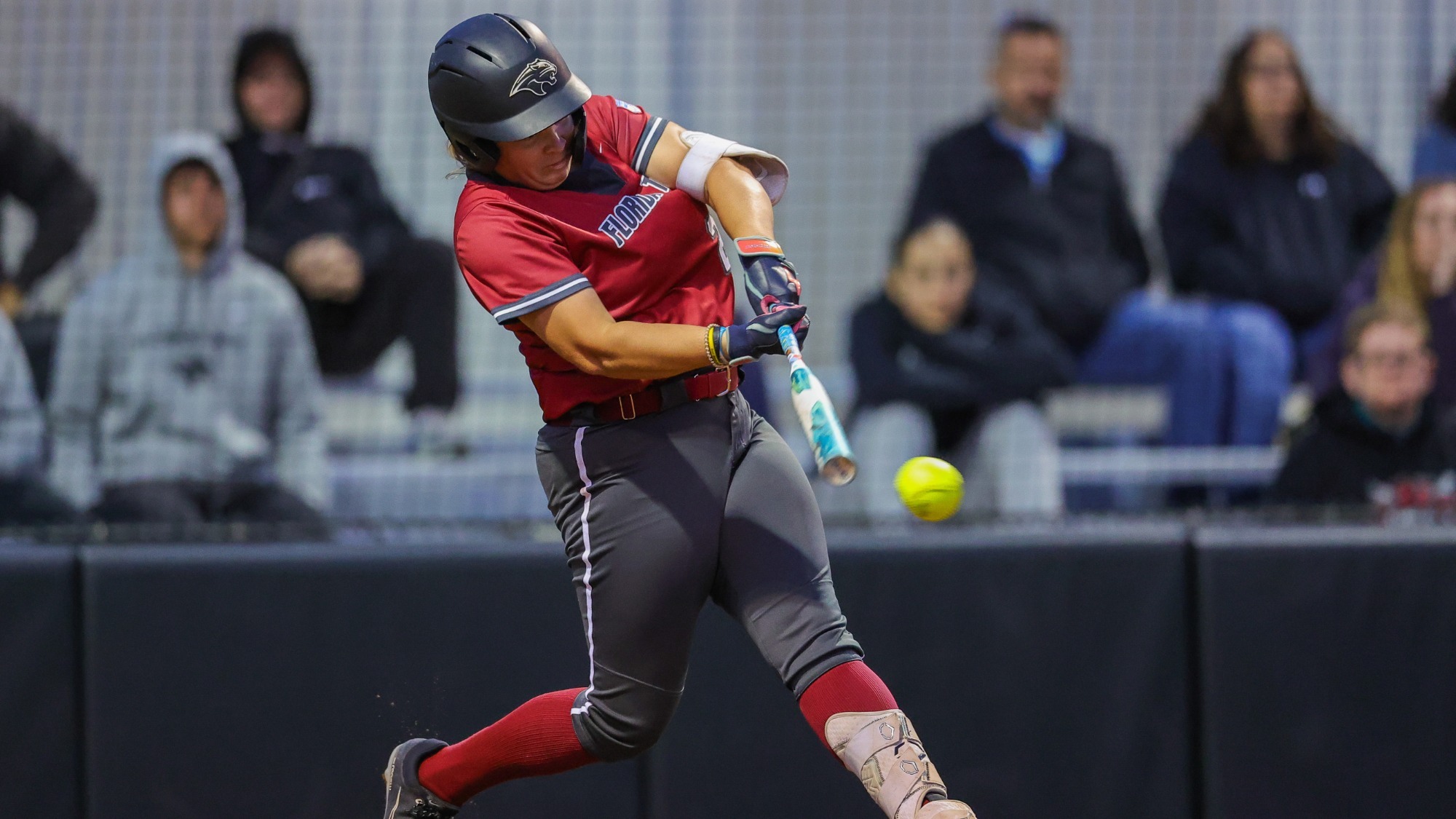 Chisholm Swing v. Molloy