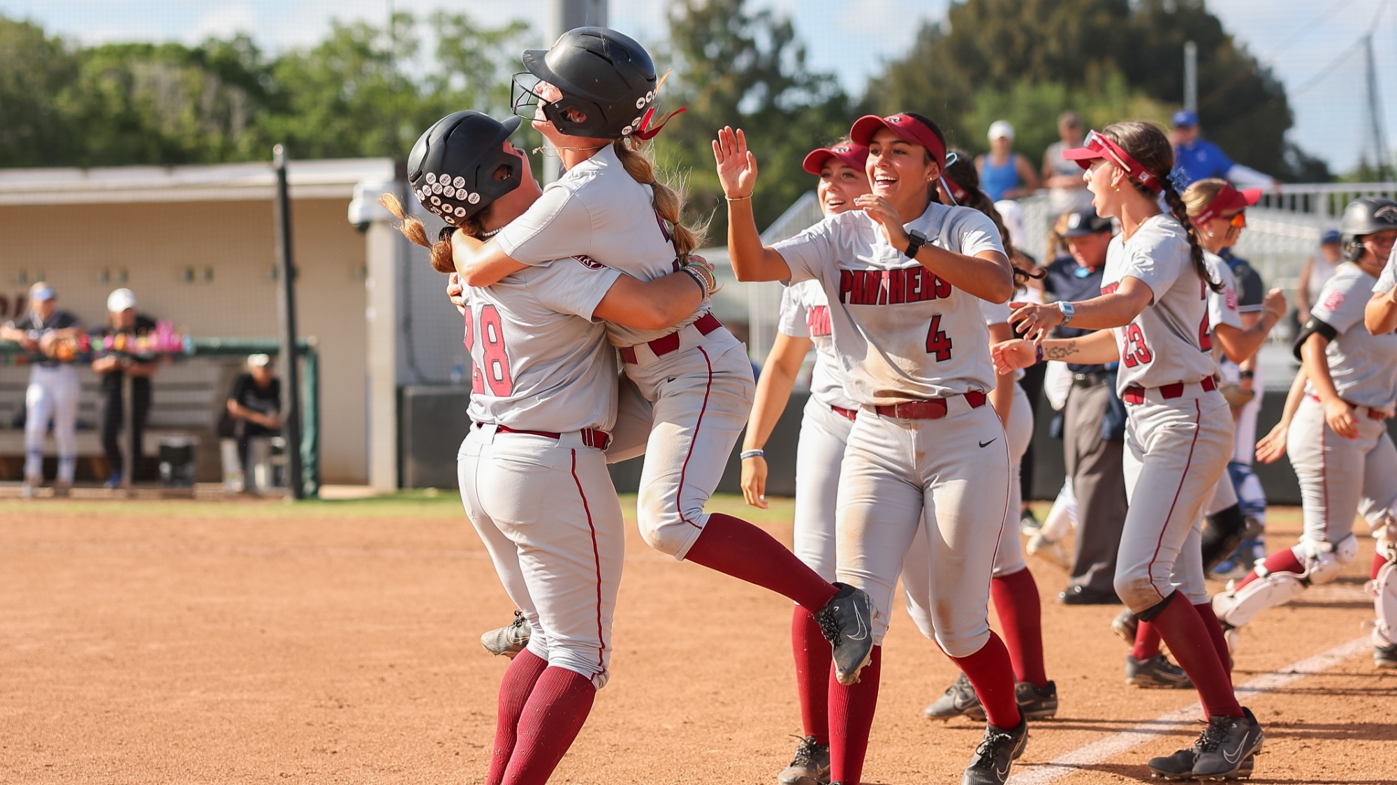 Tech Celebrates after Walk Off Win