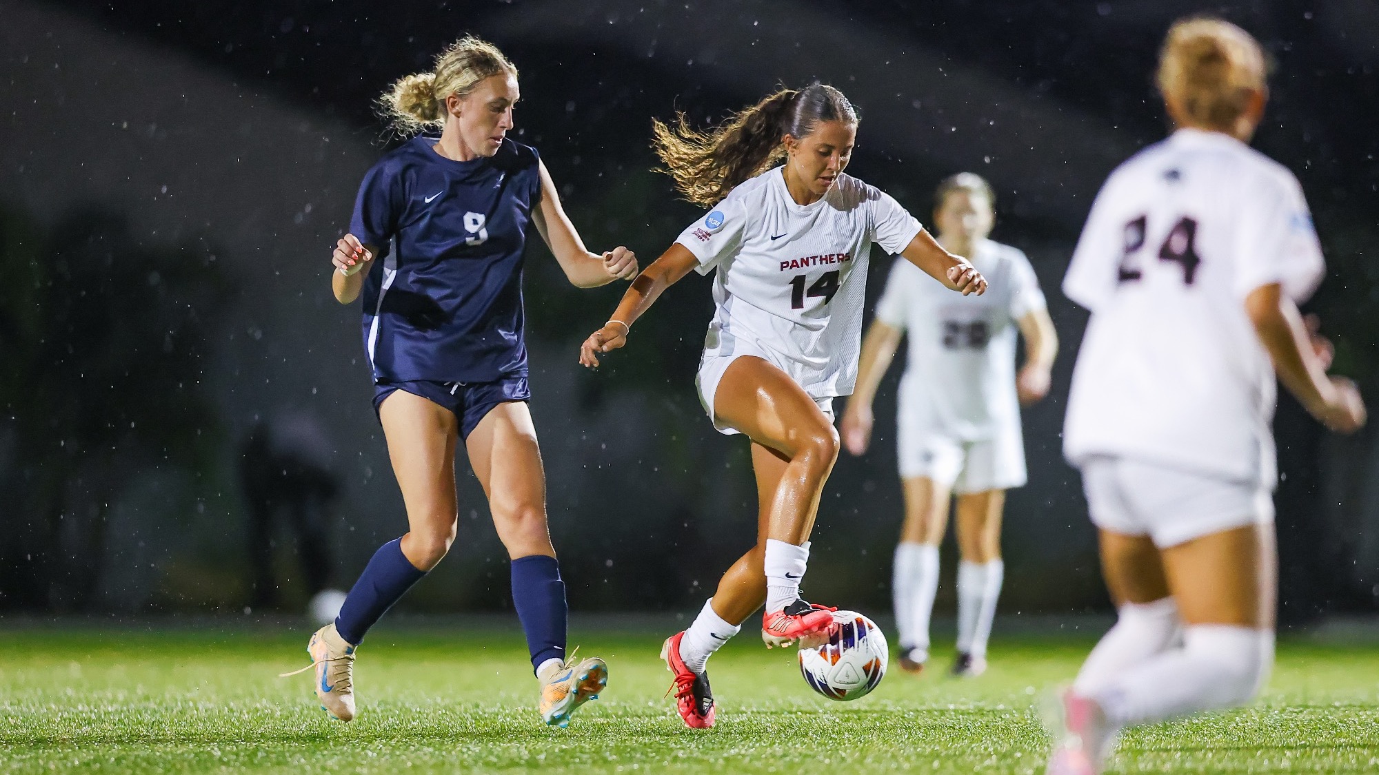 Marina Amorim