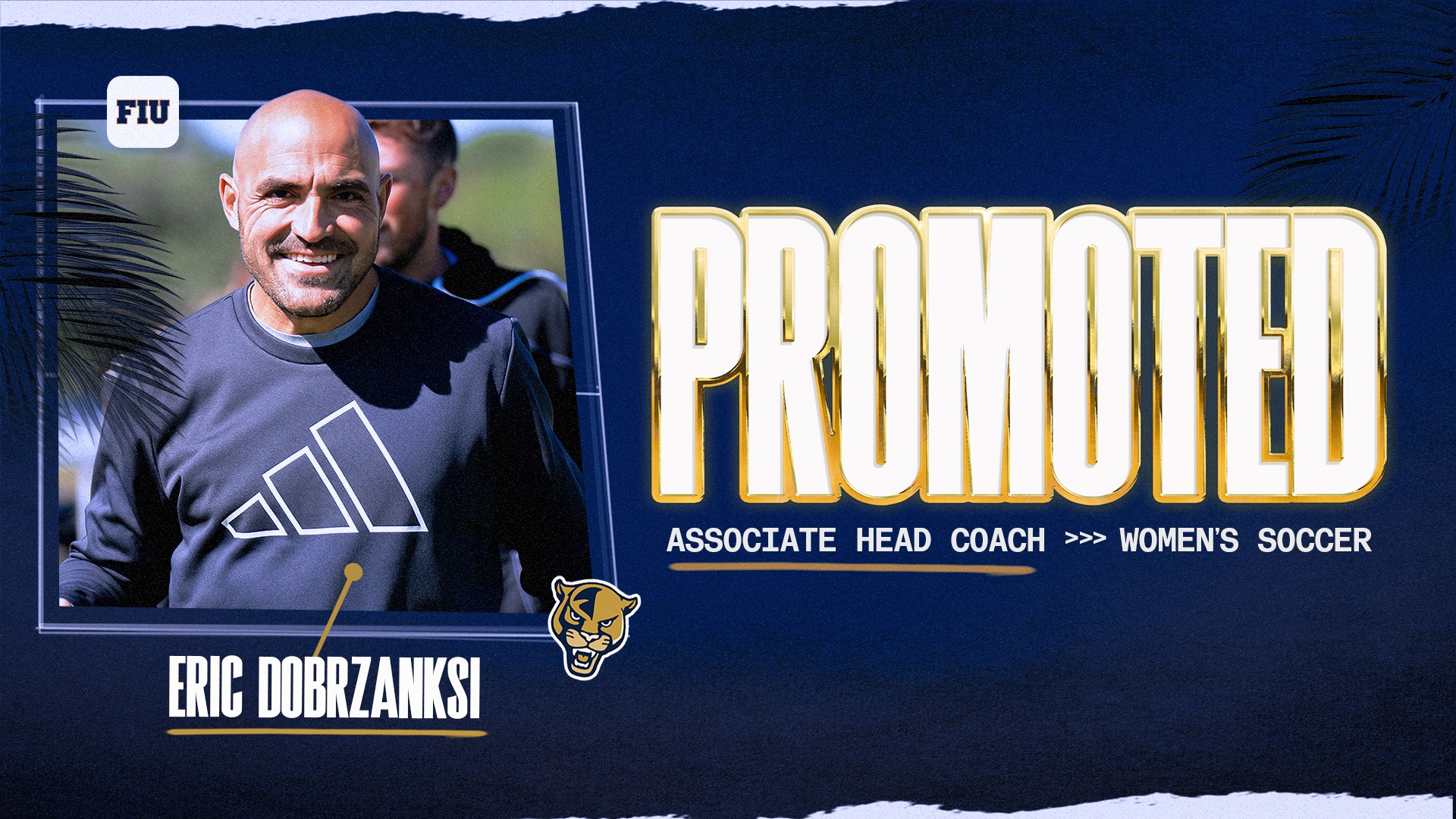 Dobrzanski Promotion Graphic