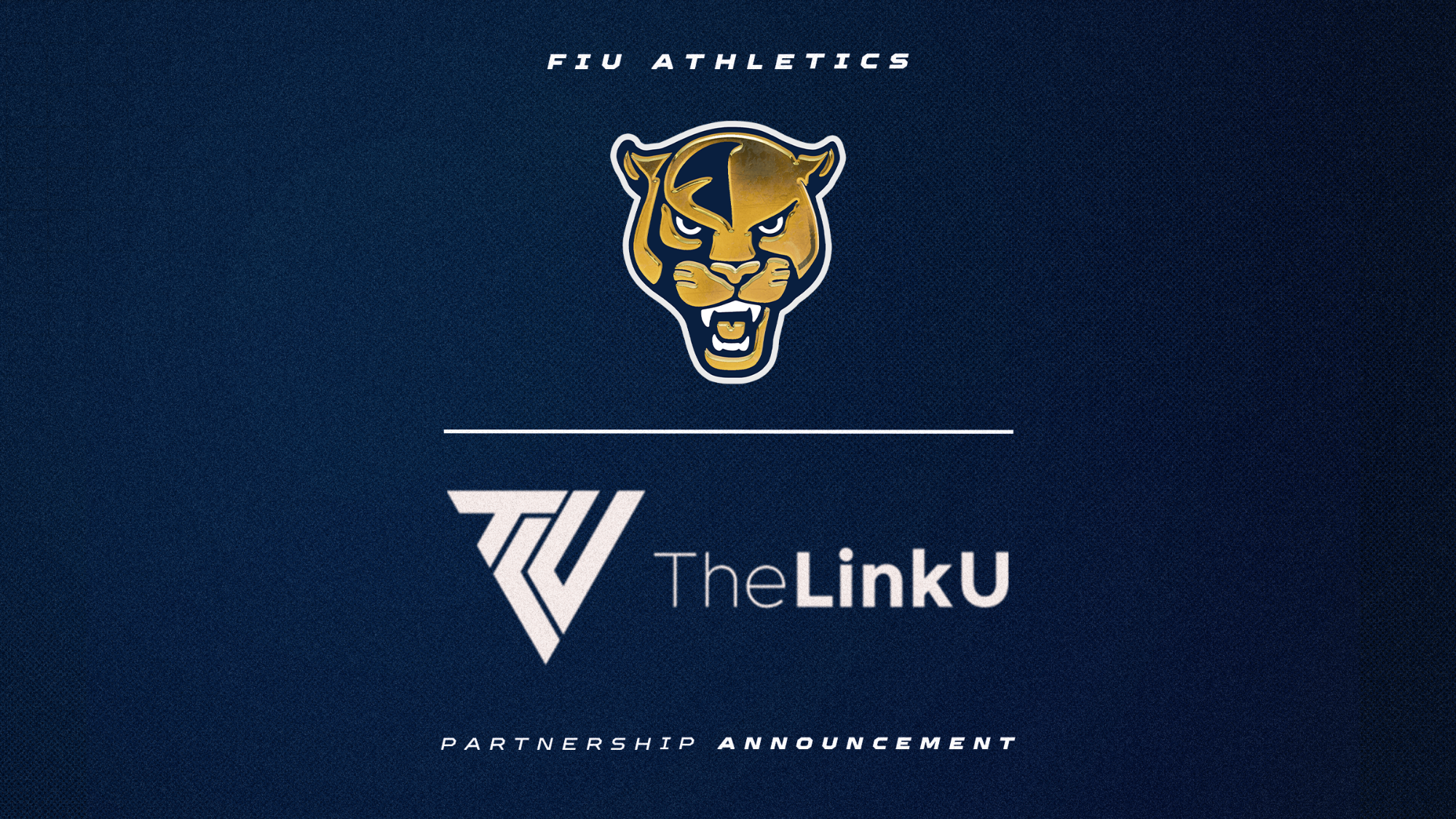 FIULinkUPartnership25