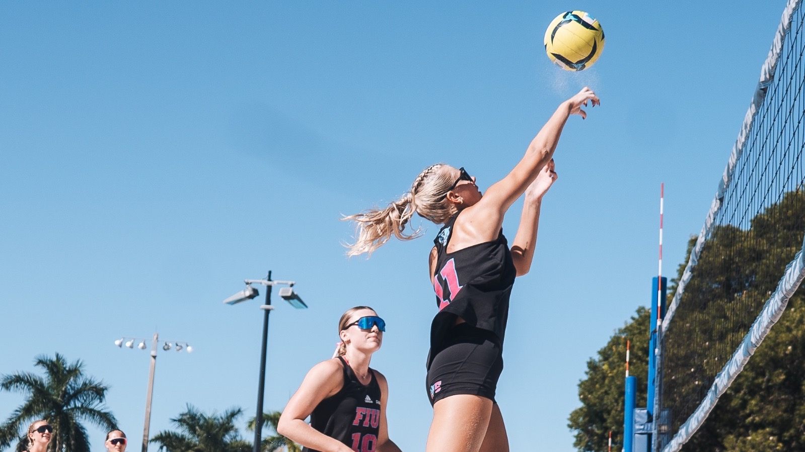 2025 AVCA National Tournament