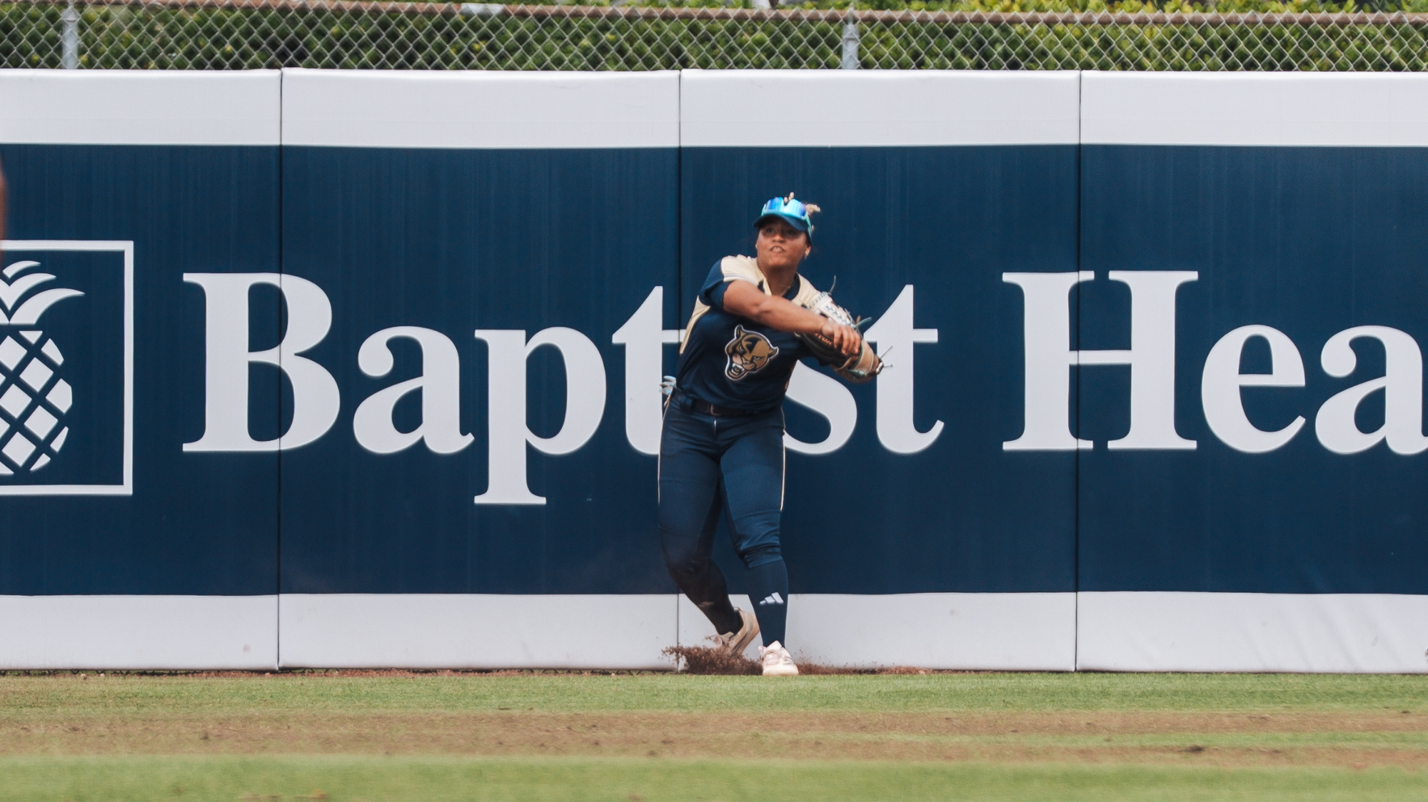 SB26DelawareRoad1Downing