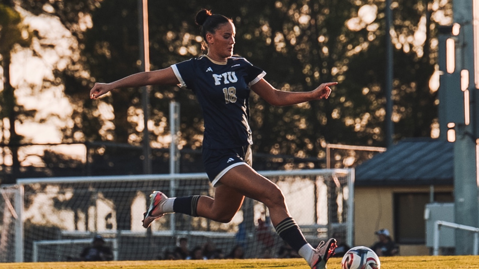WSOC at NM State