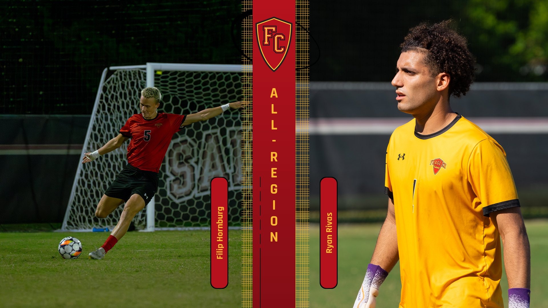 All-Region graphic
