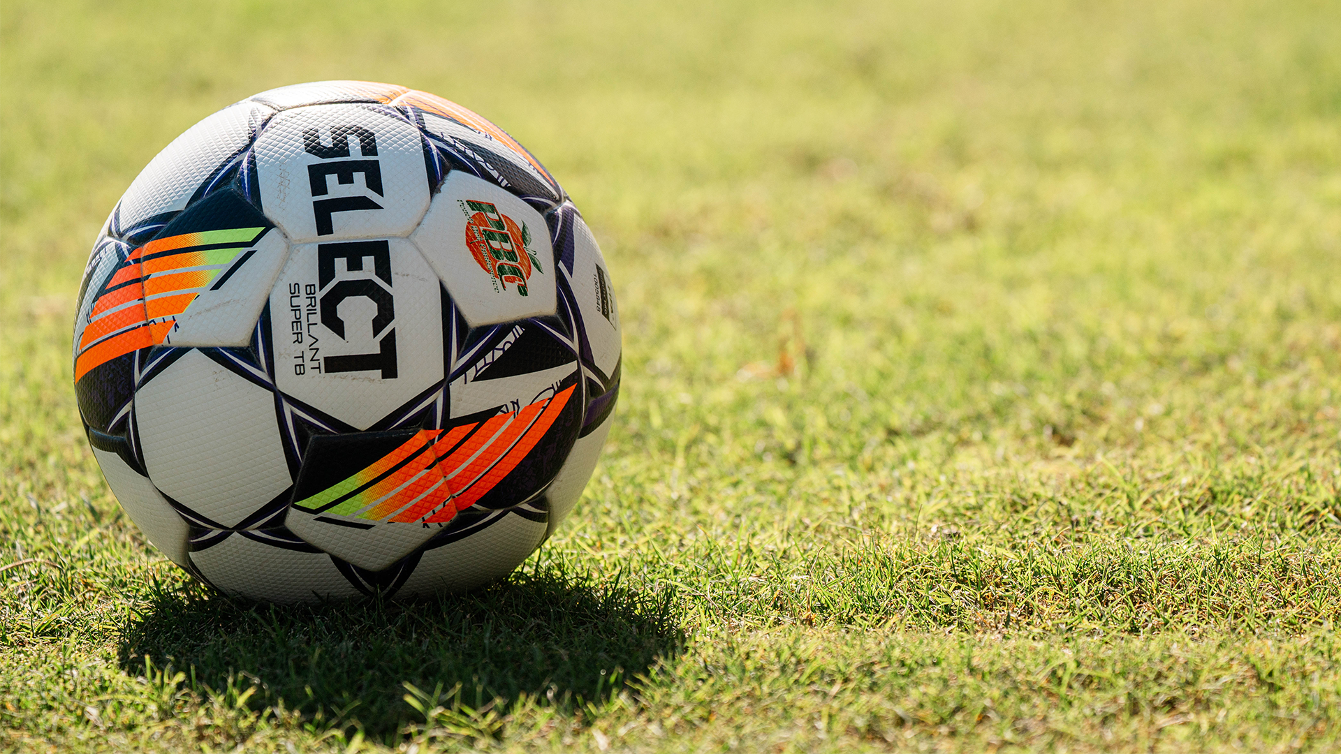 Soccer ball