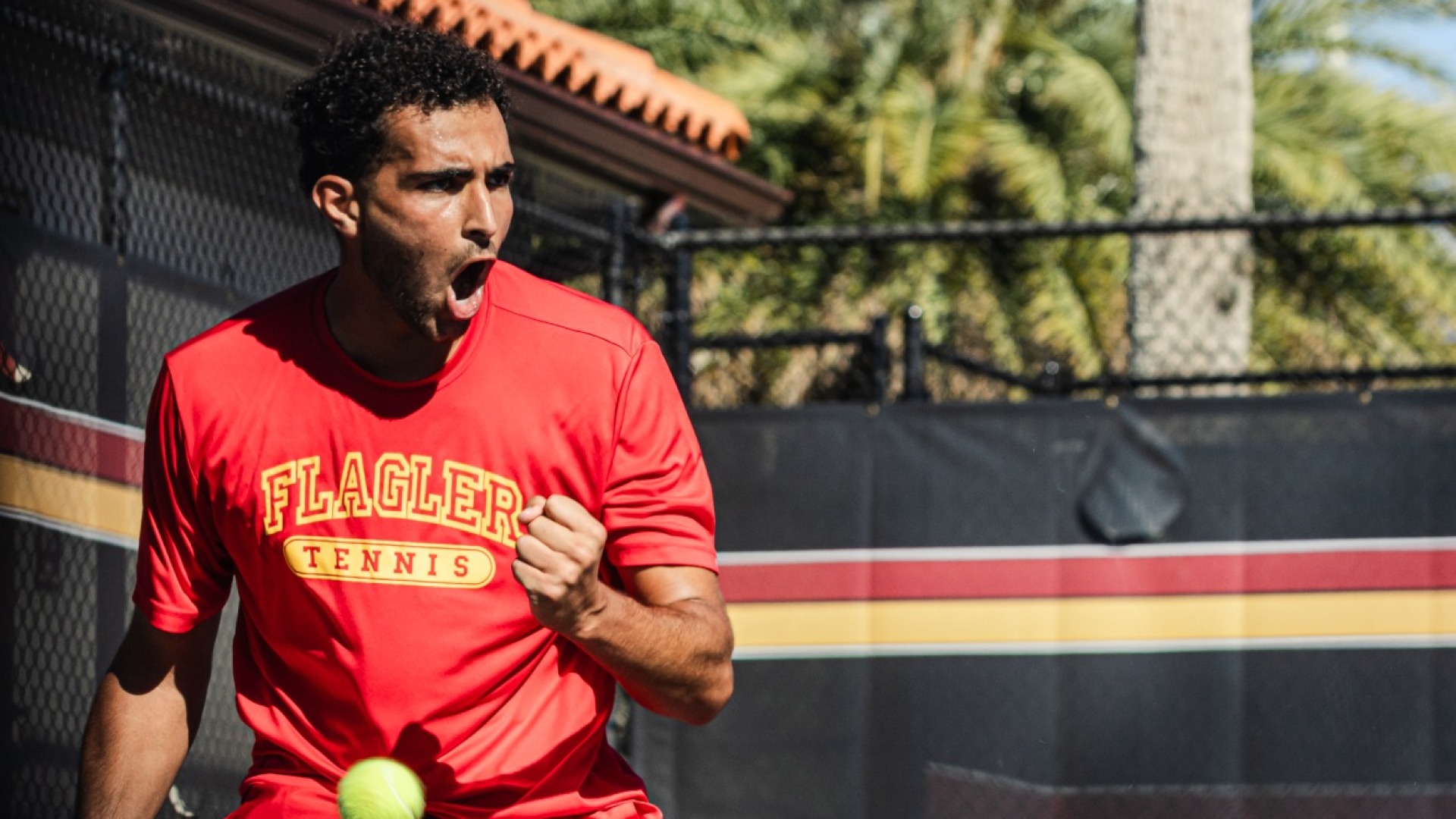 Aniss Rafiq yelling after a victory point