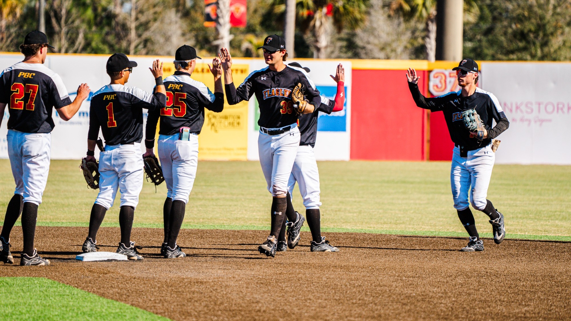 Flagler baseball hive five line