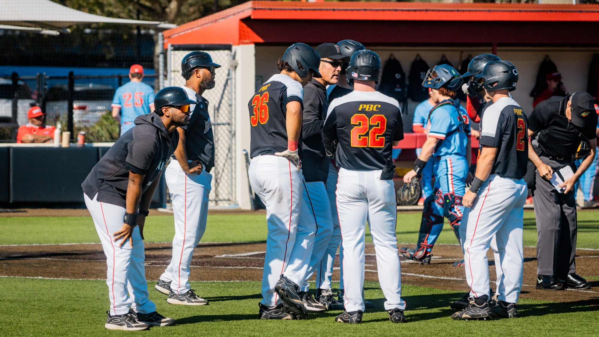 Flagler baseball players meet near home plate with coaches