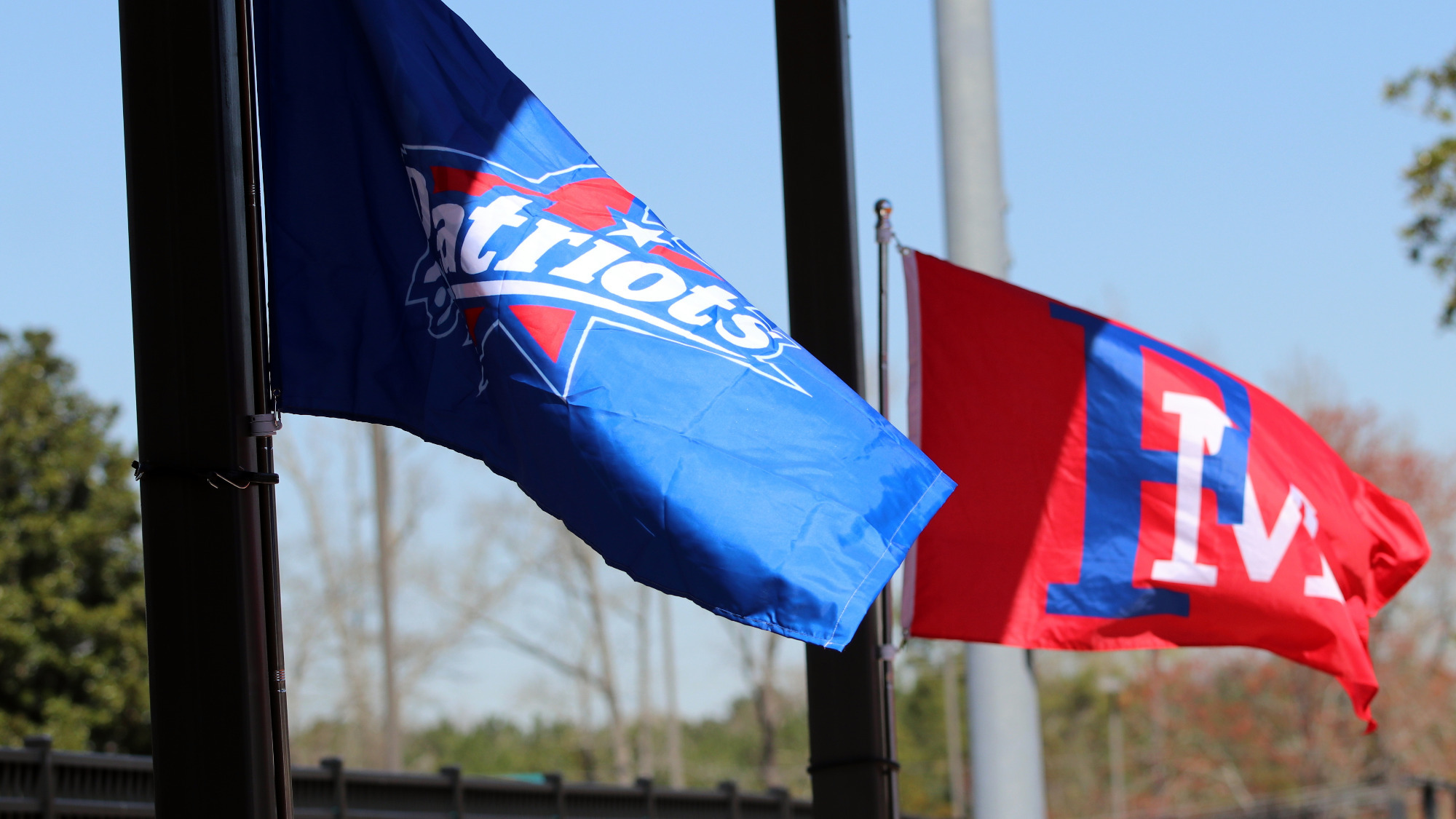 2024 FMU Flags hero size