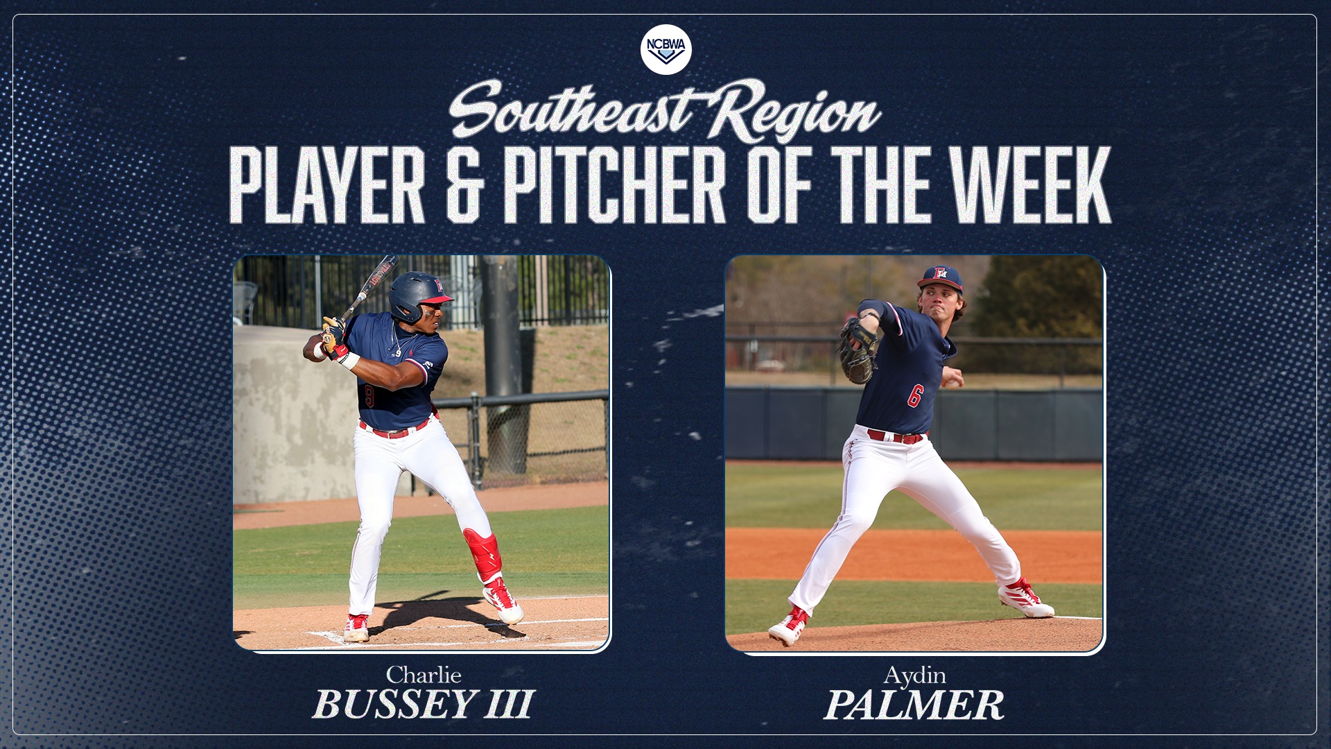 BB26Bussey_Palmer_NCBWA