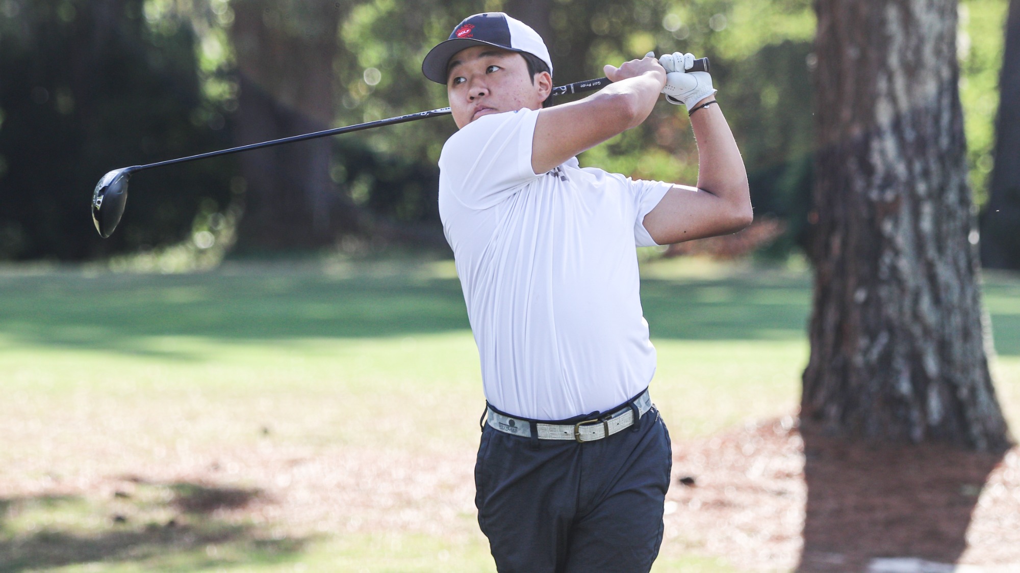 mgolf25lee_driver_swing