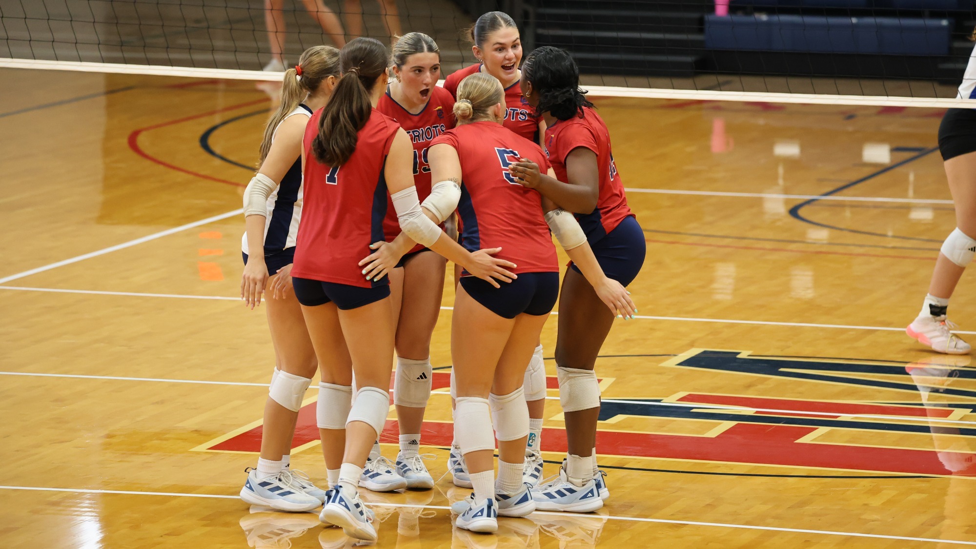 vb26celebration vs shorter 