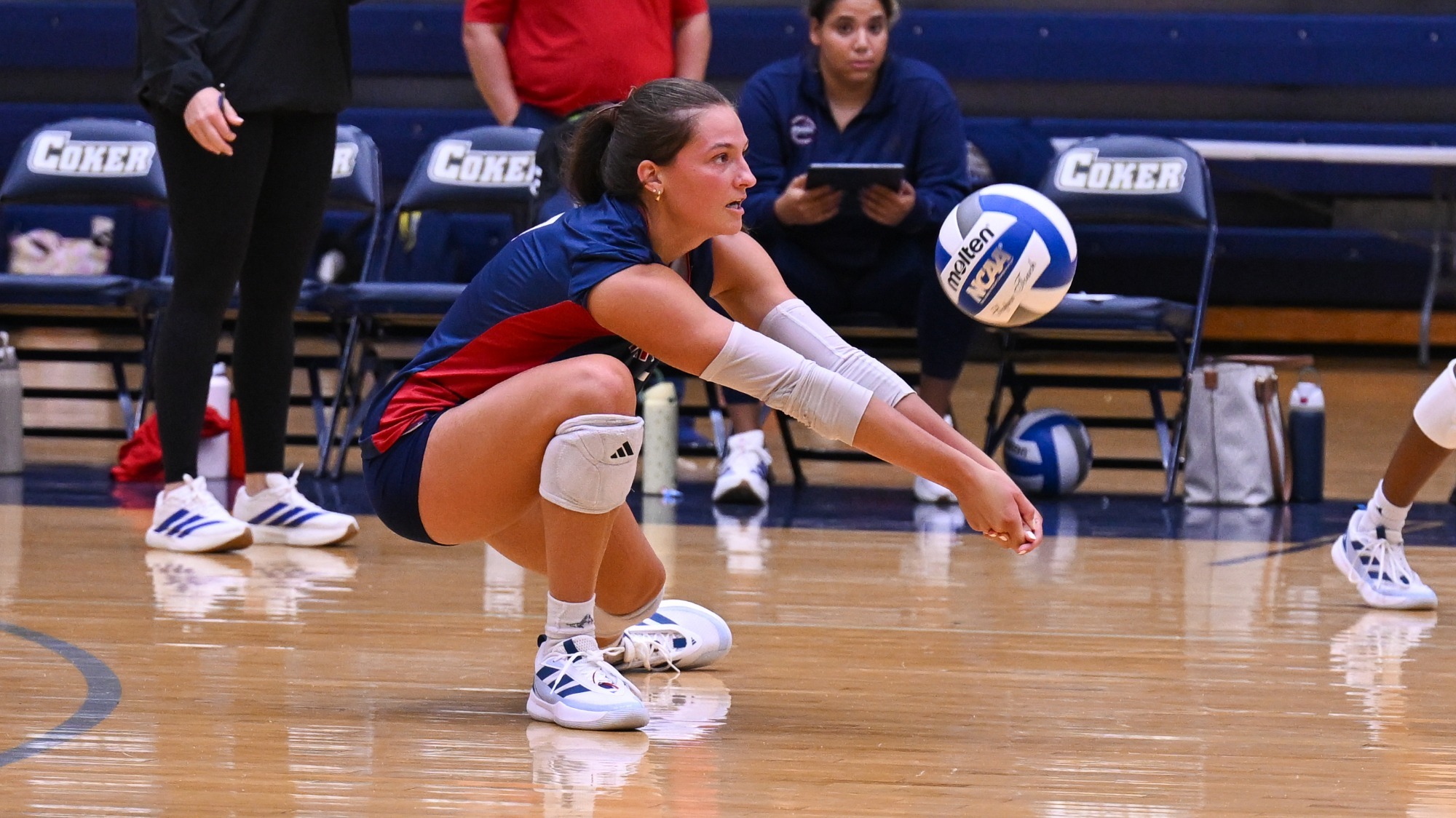 vb26gartner dig vs valdosta state 7485