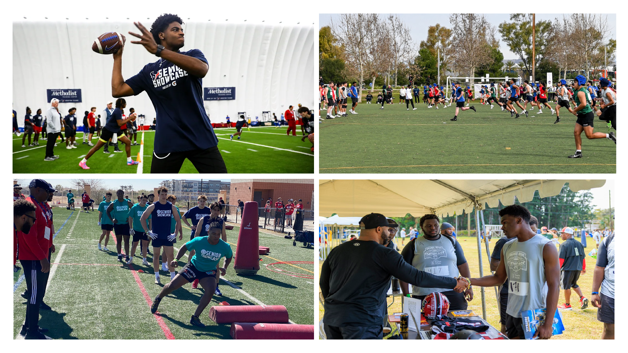 2026 NFF Showcases Curtain Raiser