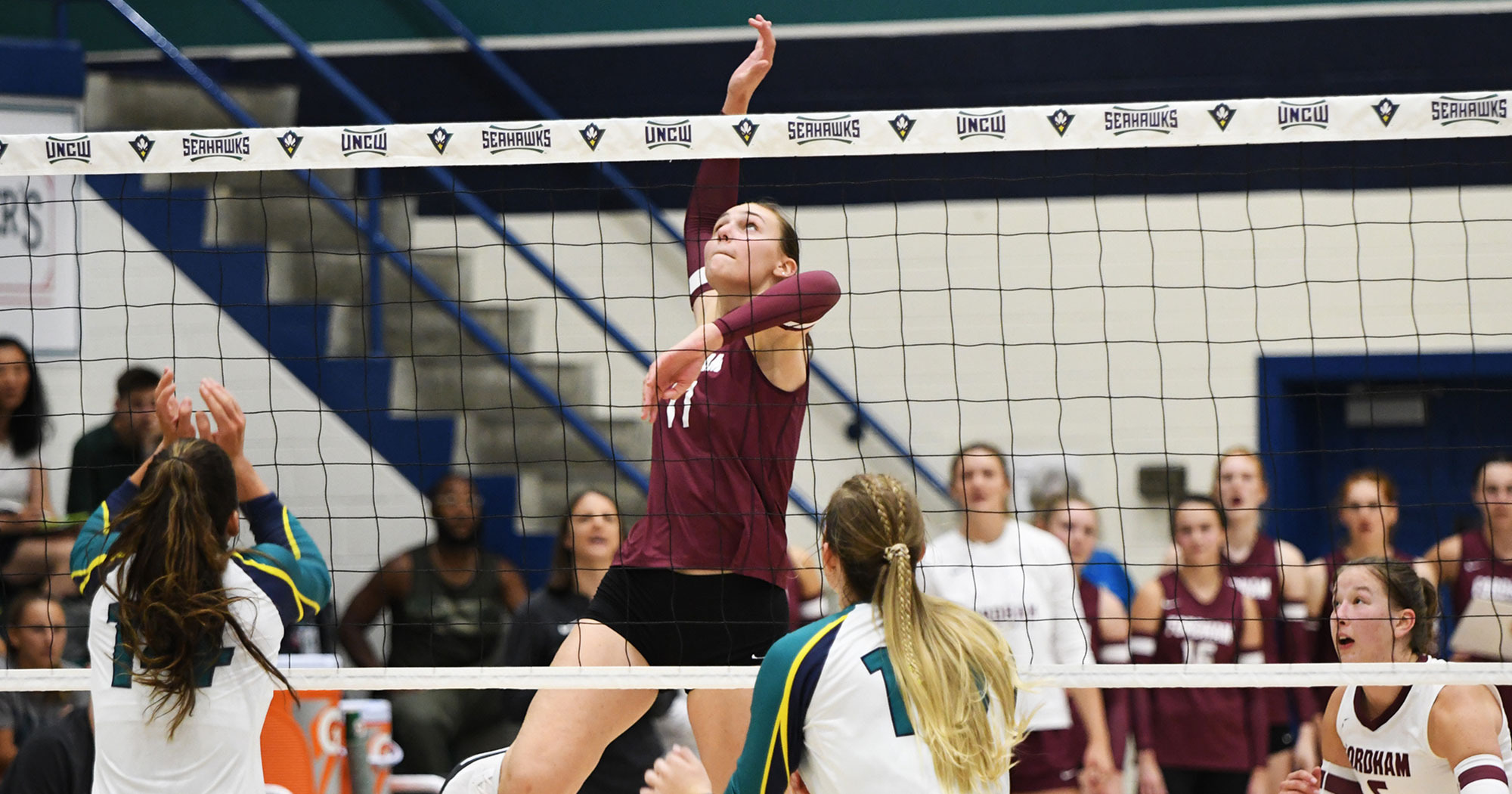 Tatum Holderied Women's Volleyball Fordham University Athletics