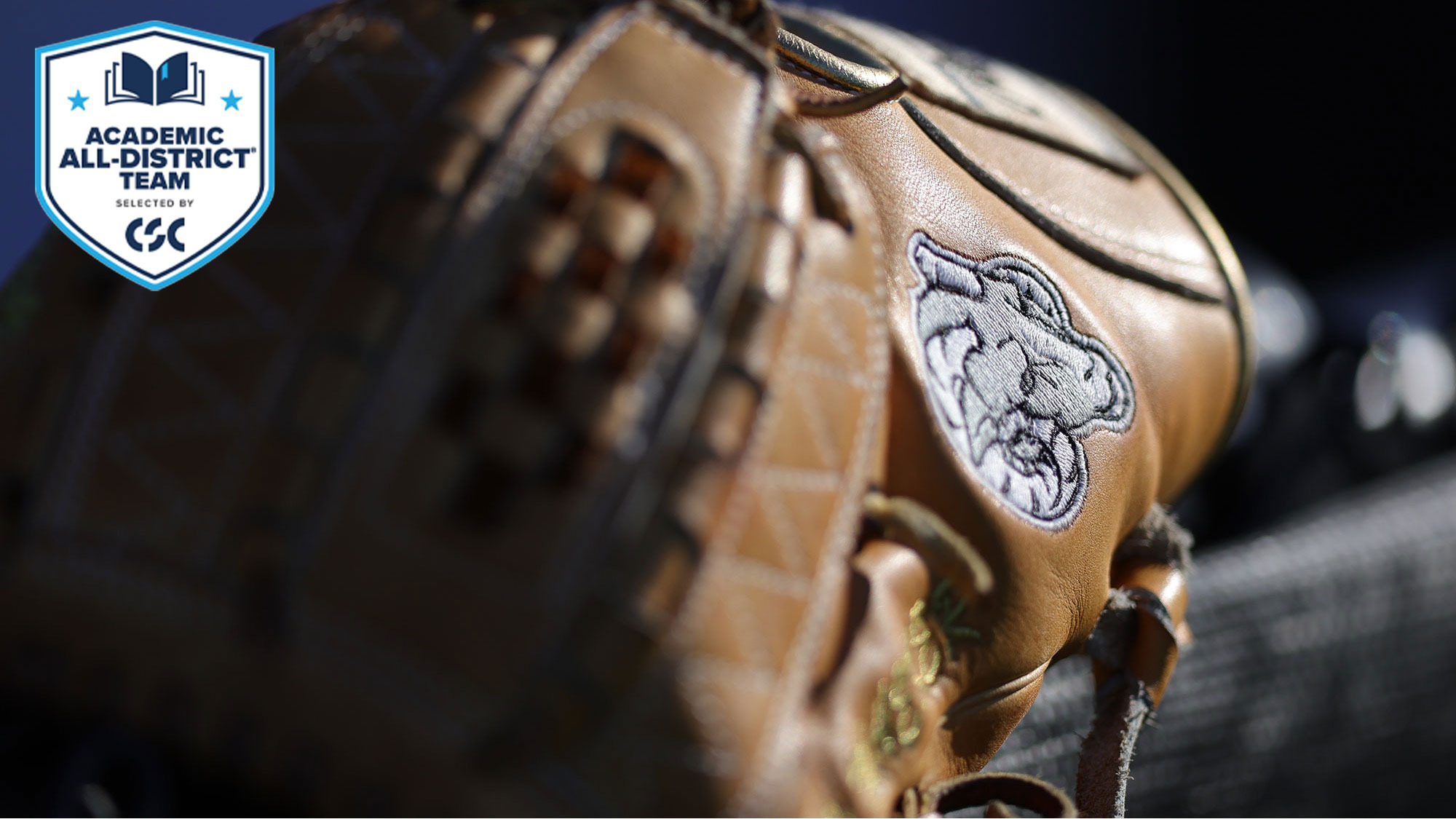 Baseball Releases 2025 Schedule - Fordham University Athletics baseball-releases-2025-schedule-fordham-university-athletics