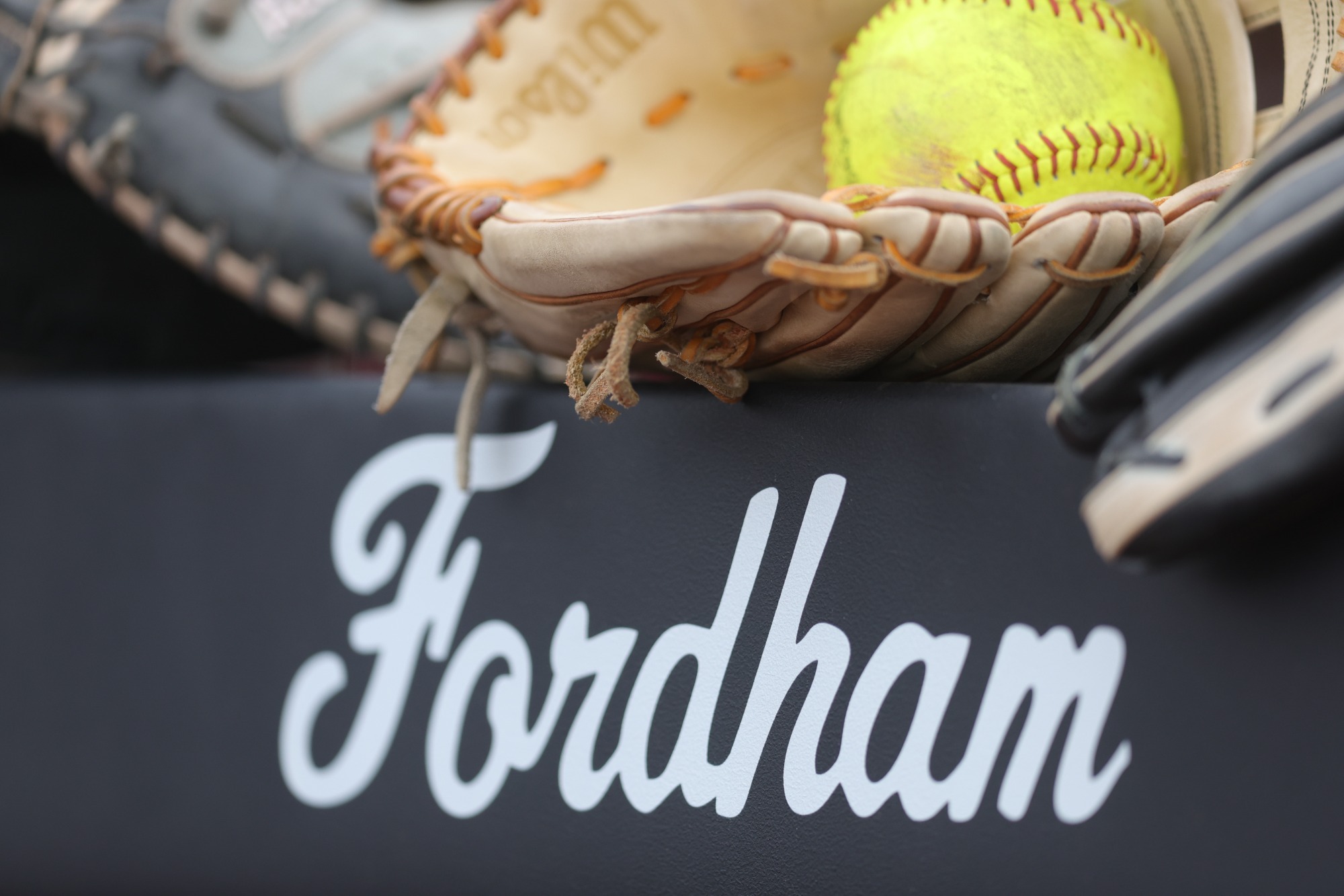Softball dugout banner