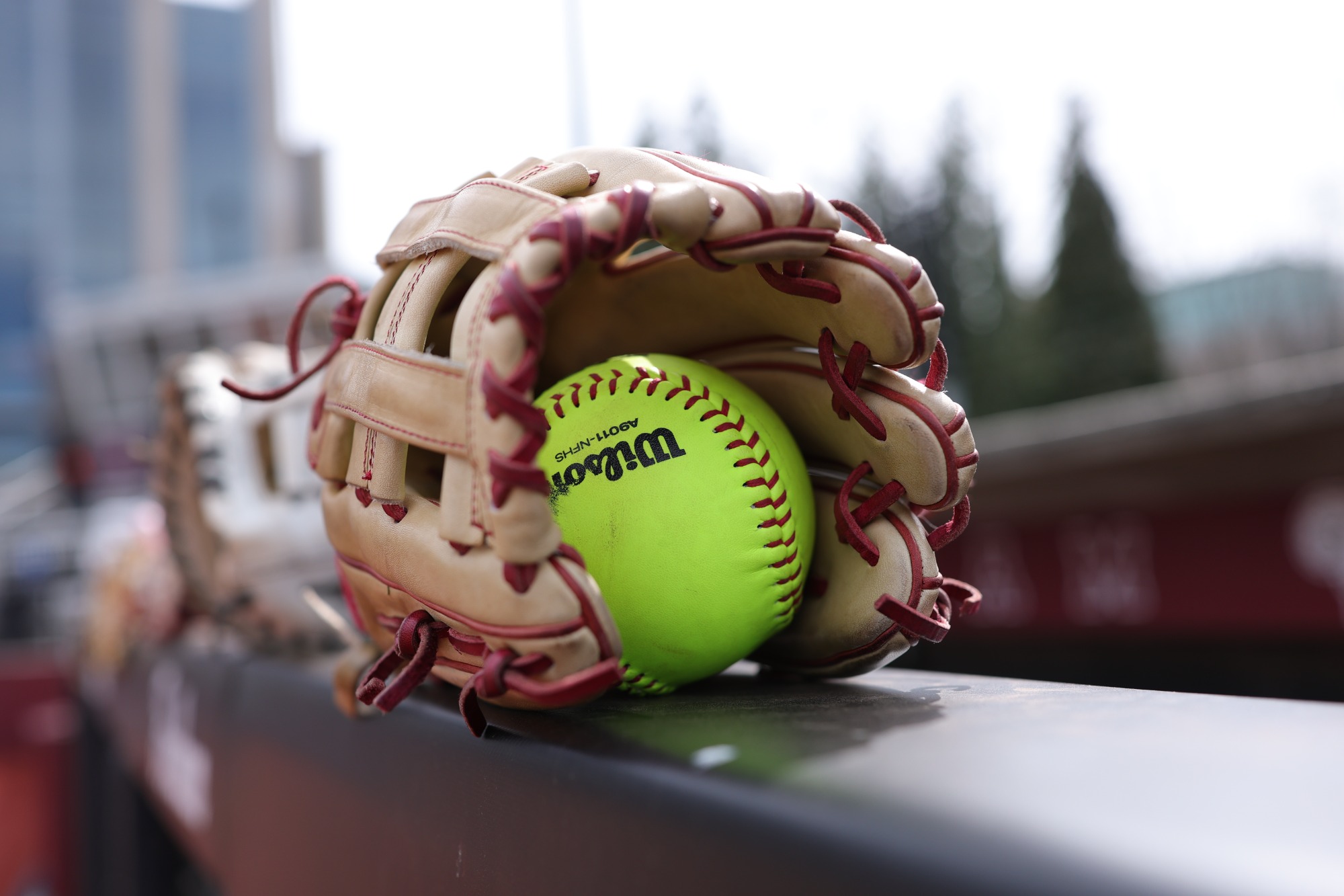 softball glove
