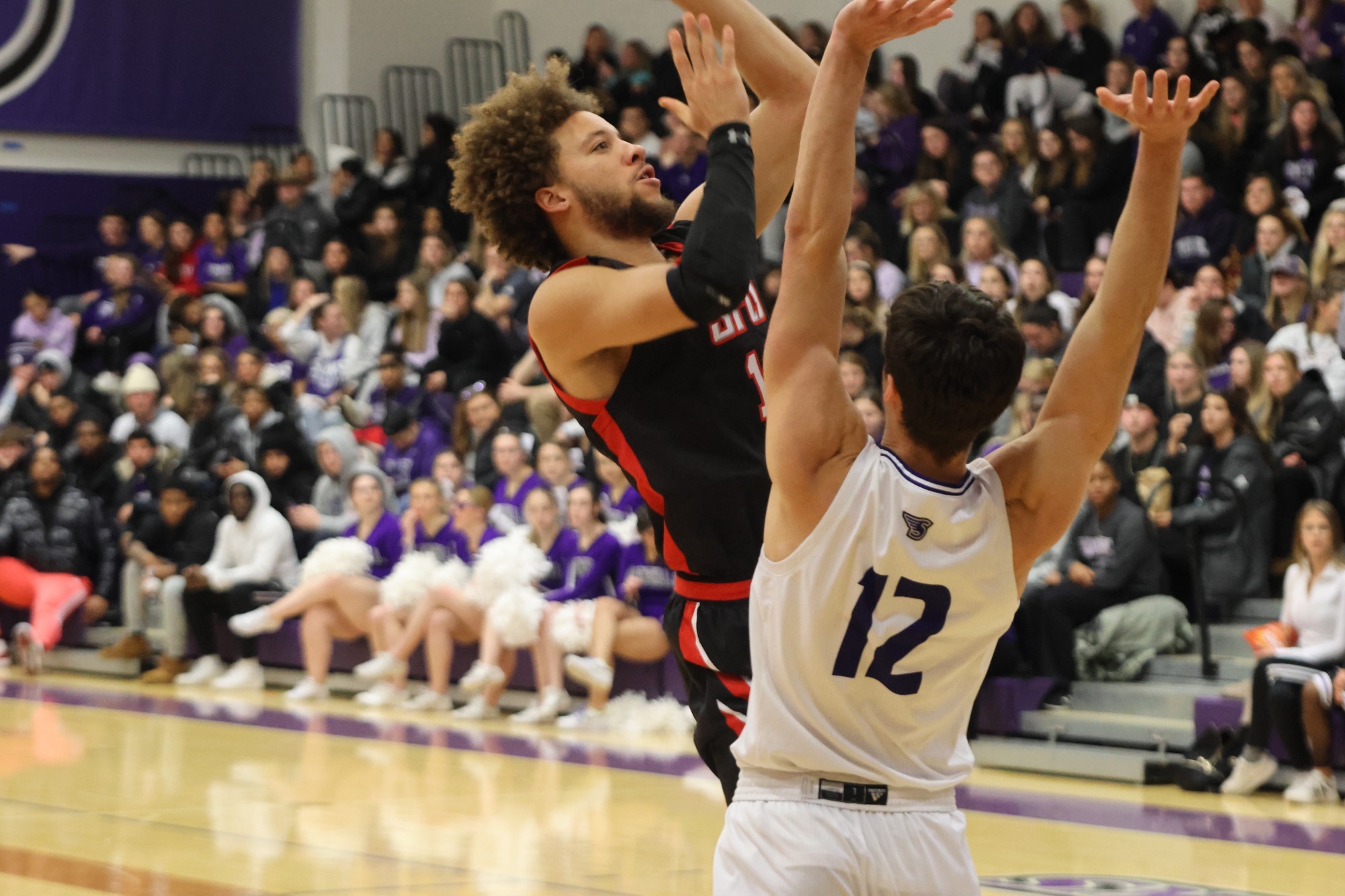 Saint Francis Men's Basketball Upended At Stonehill Saint Francis