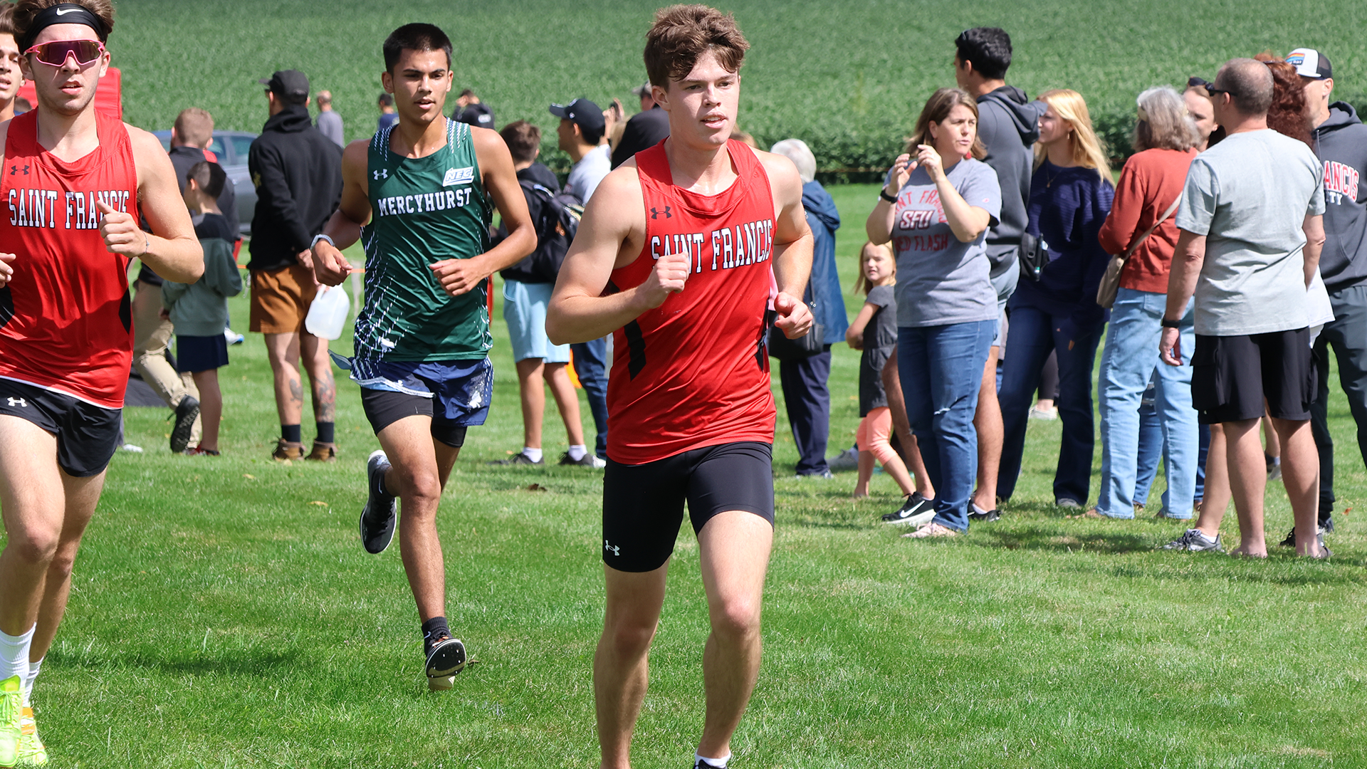 Collin Dreese