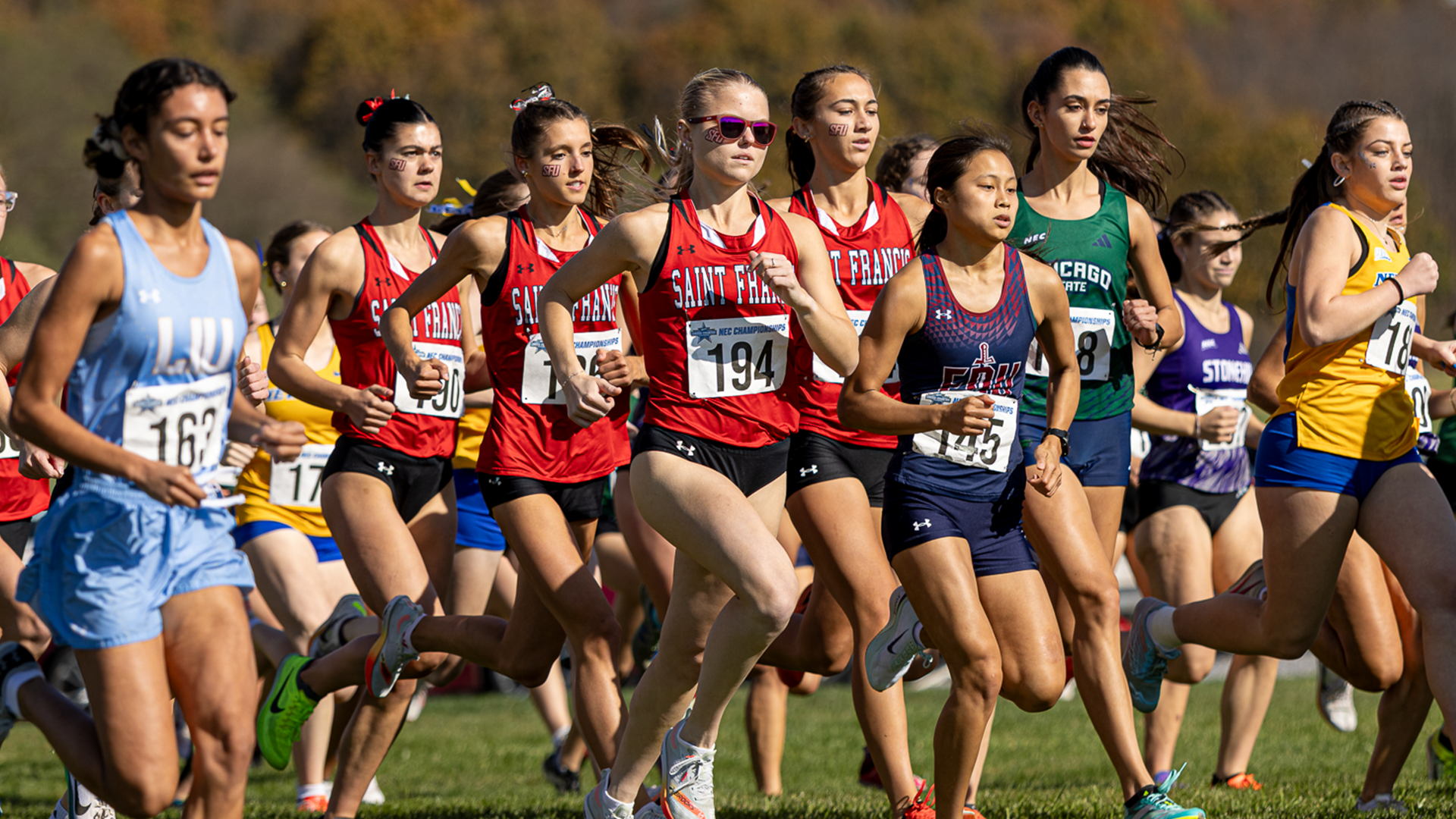 Anna Quackenbush Article