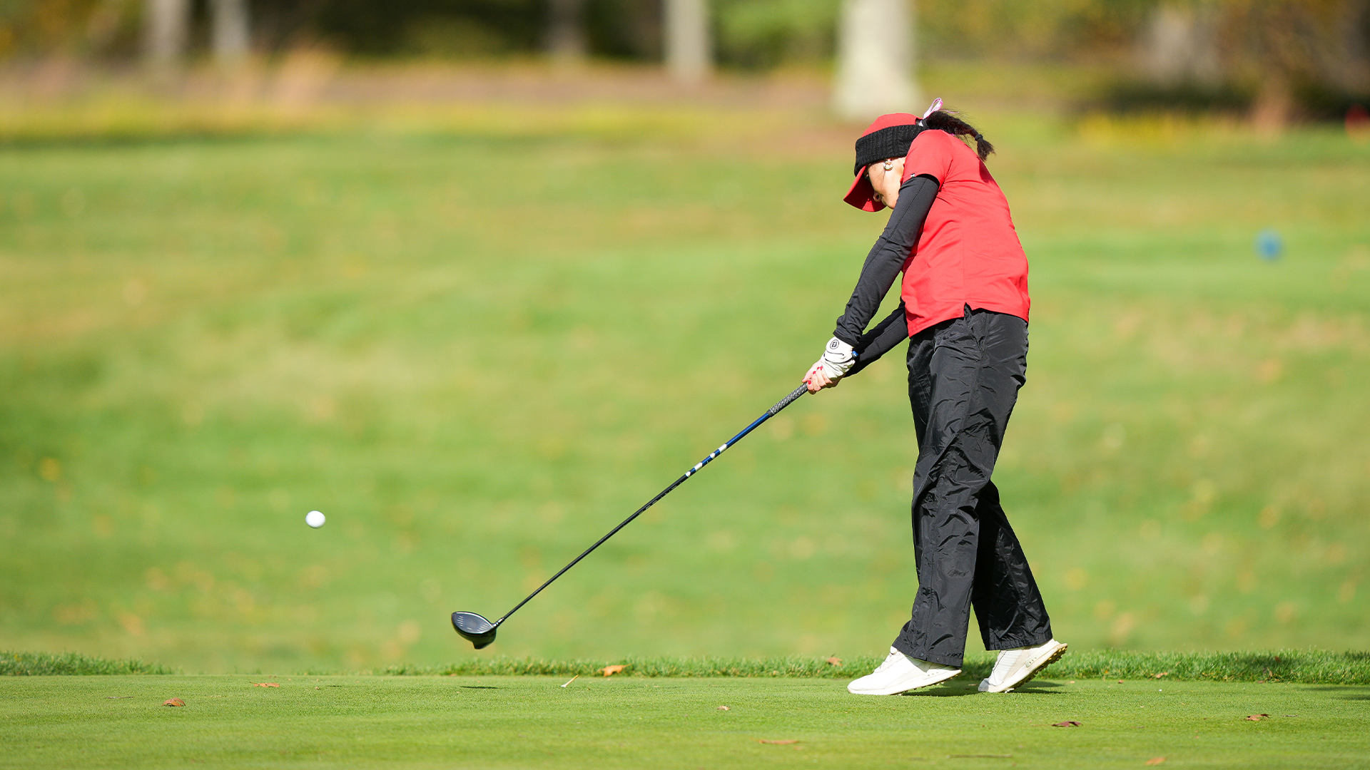 Meghan Zambruno Drive