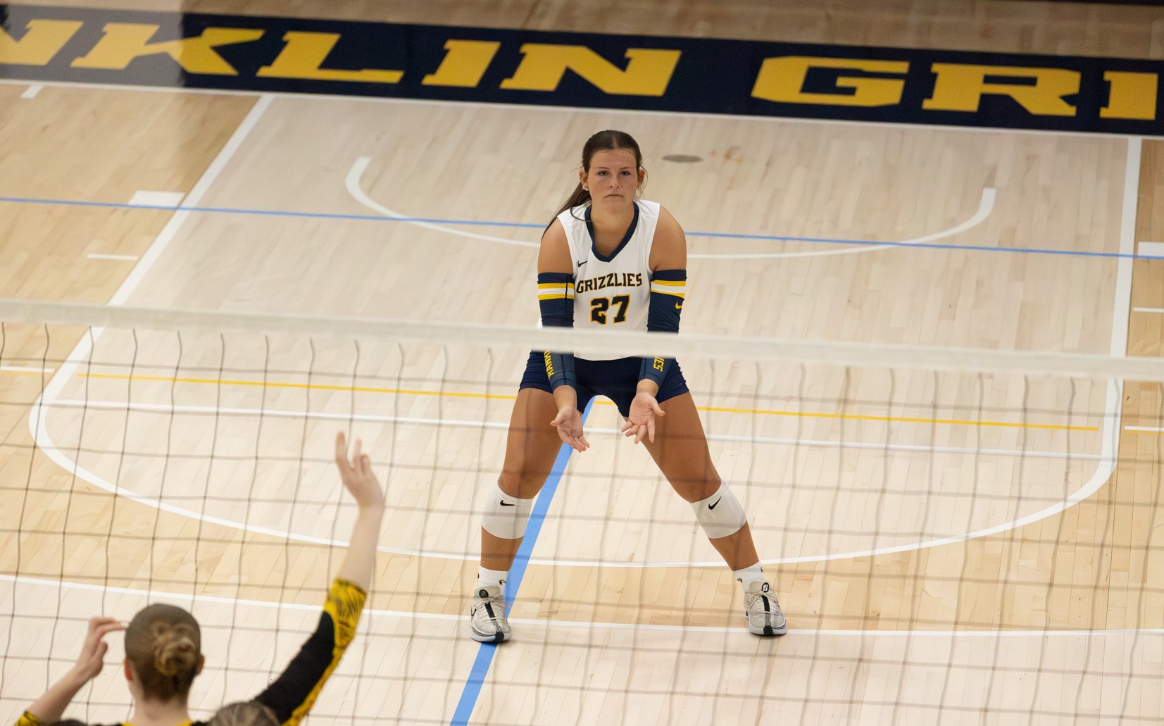 WVB DePauw Holubik 5