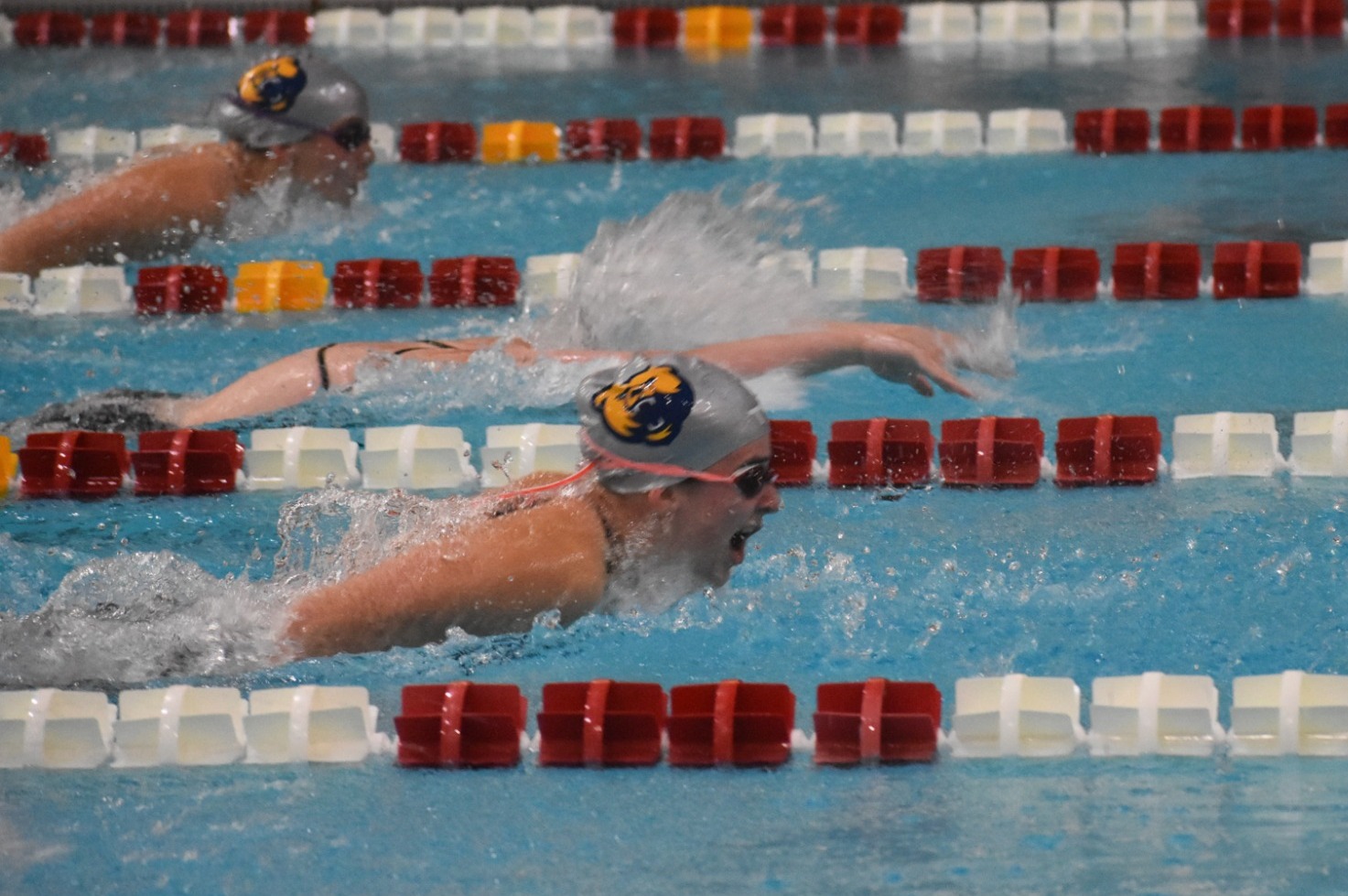 WSWIM Hollis Antle 1